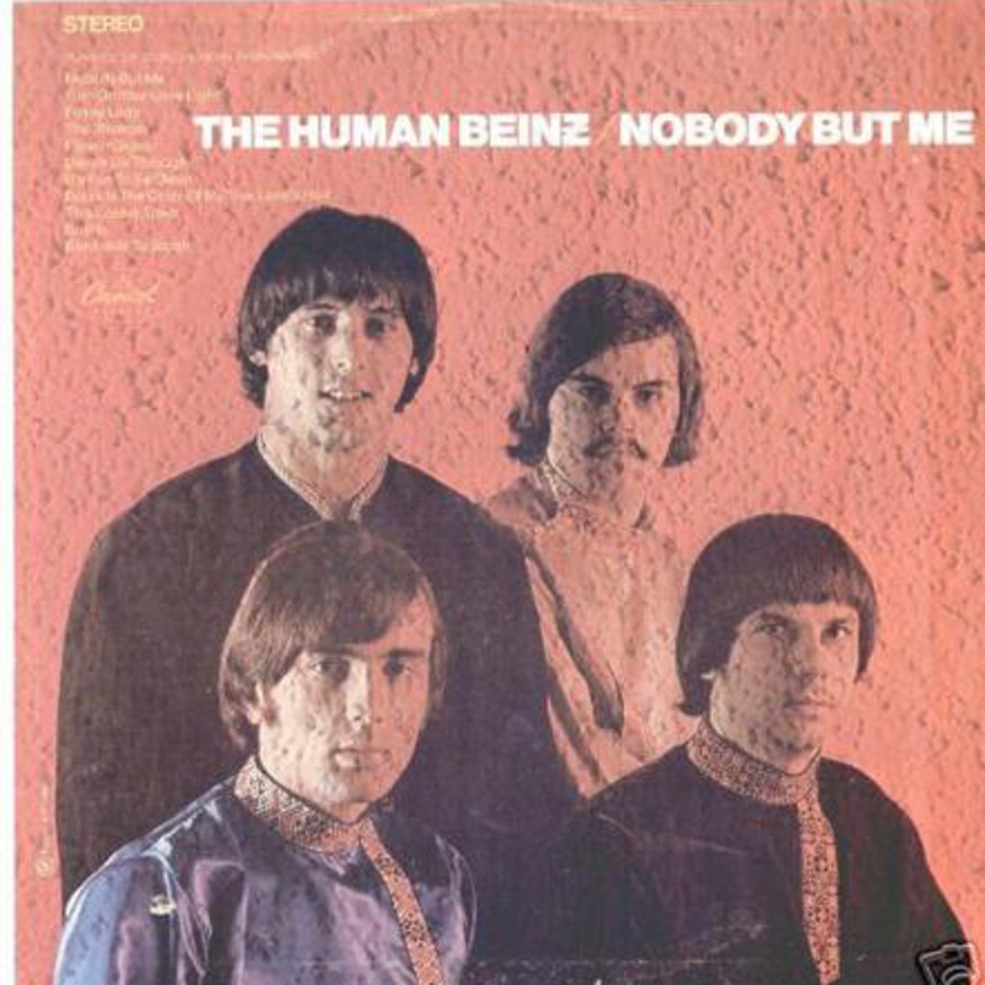 Nobody But Me - The Human Beinz