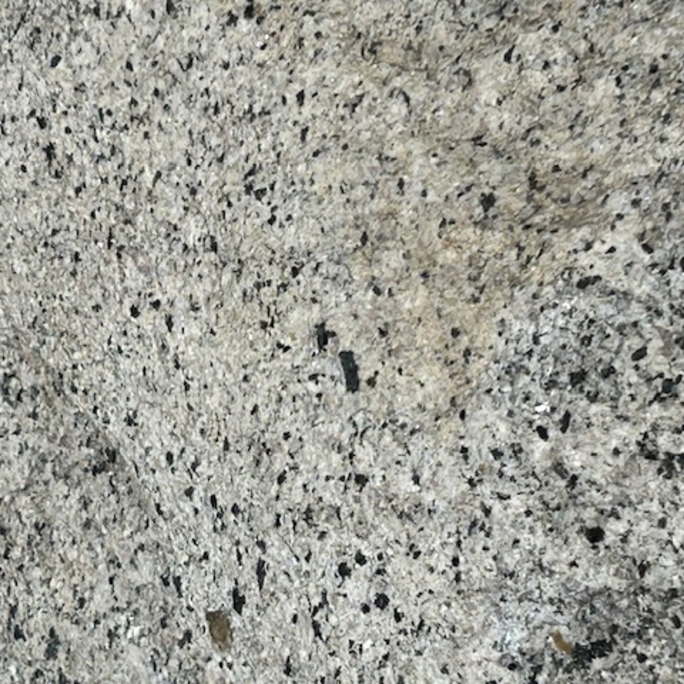 Episode 345: The Institute of Spectra-Sonic Sound 6.29.24