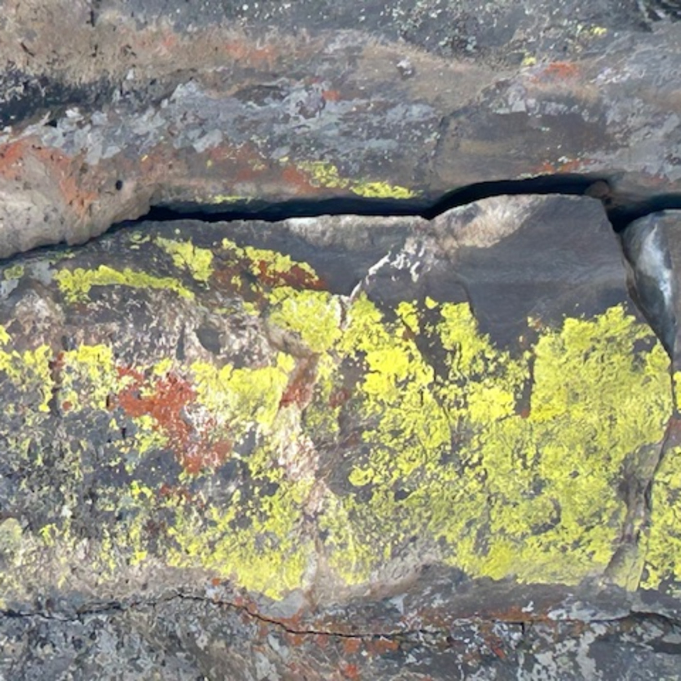 The Institute Of Spectra-Sonic Sound