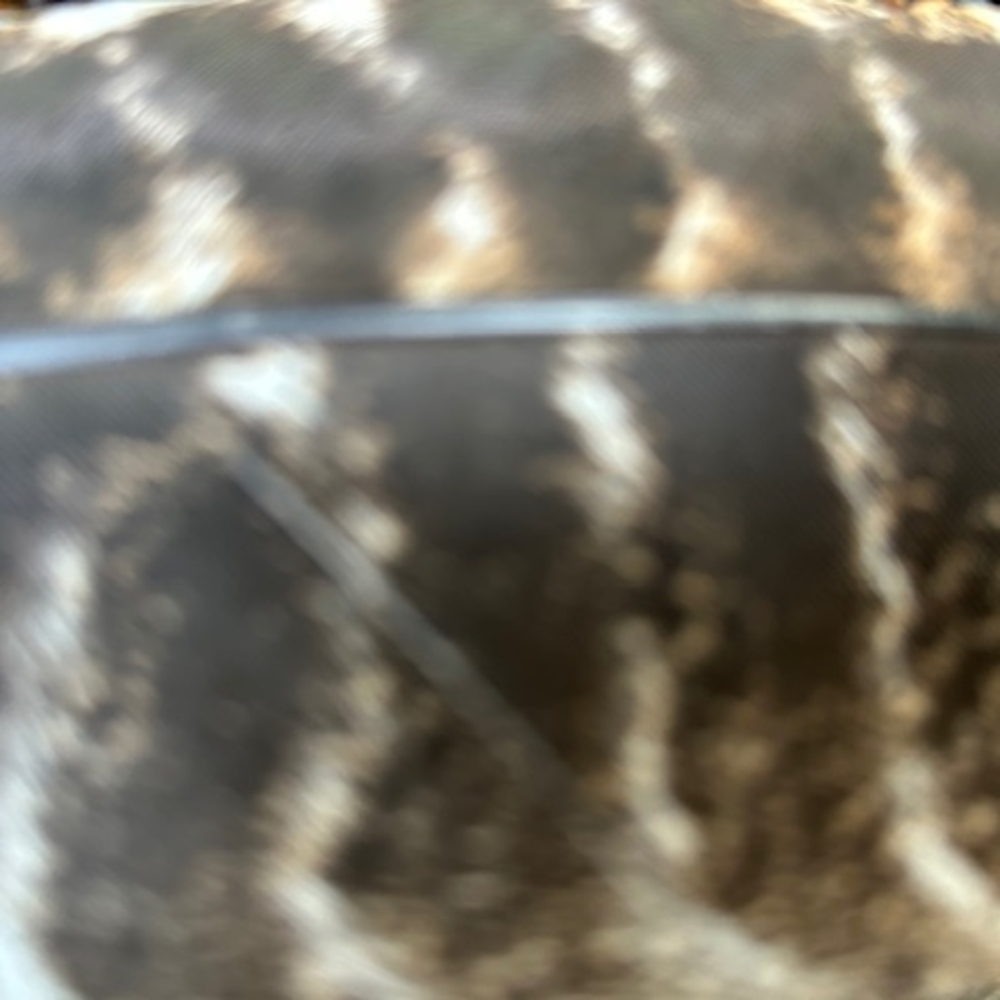 The Institute Of Spectra-Sonic Sound