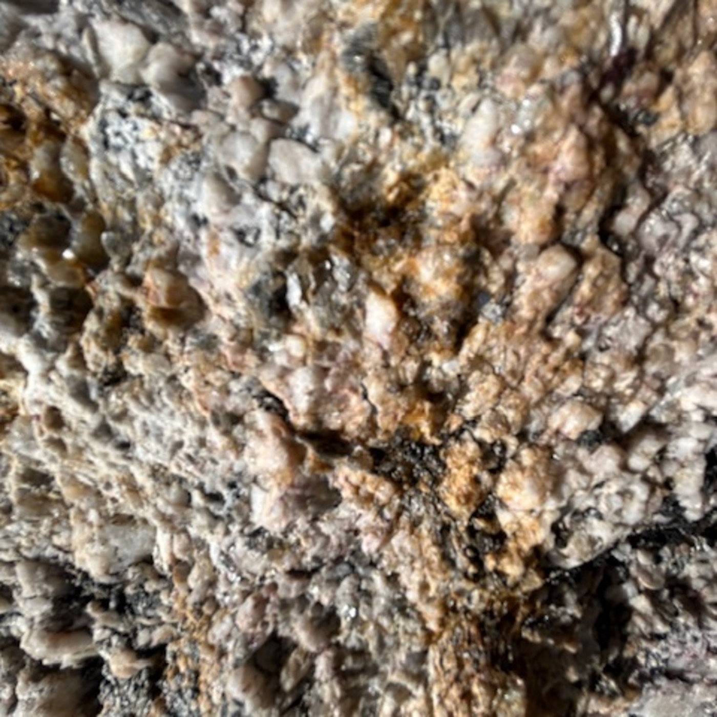 The Institute Of Spectra-Sonic Sound