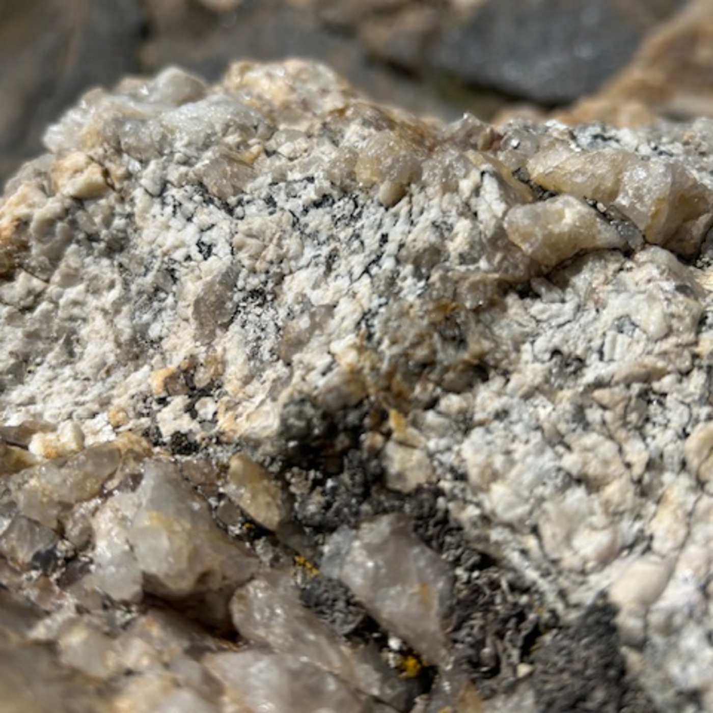 The Institute Of Spectra-Sonic Sound