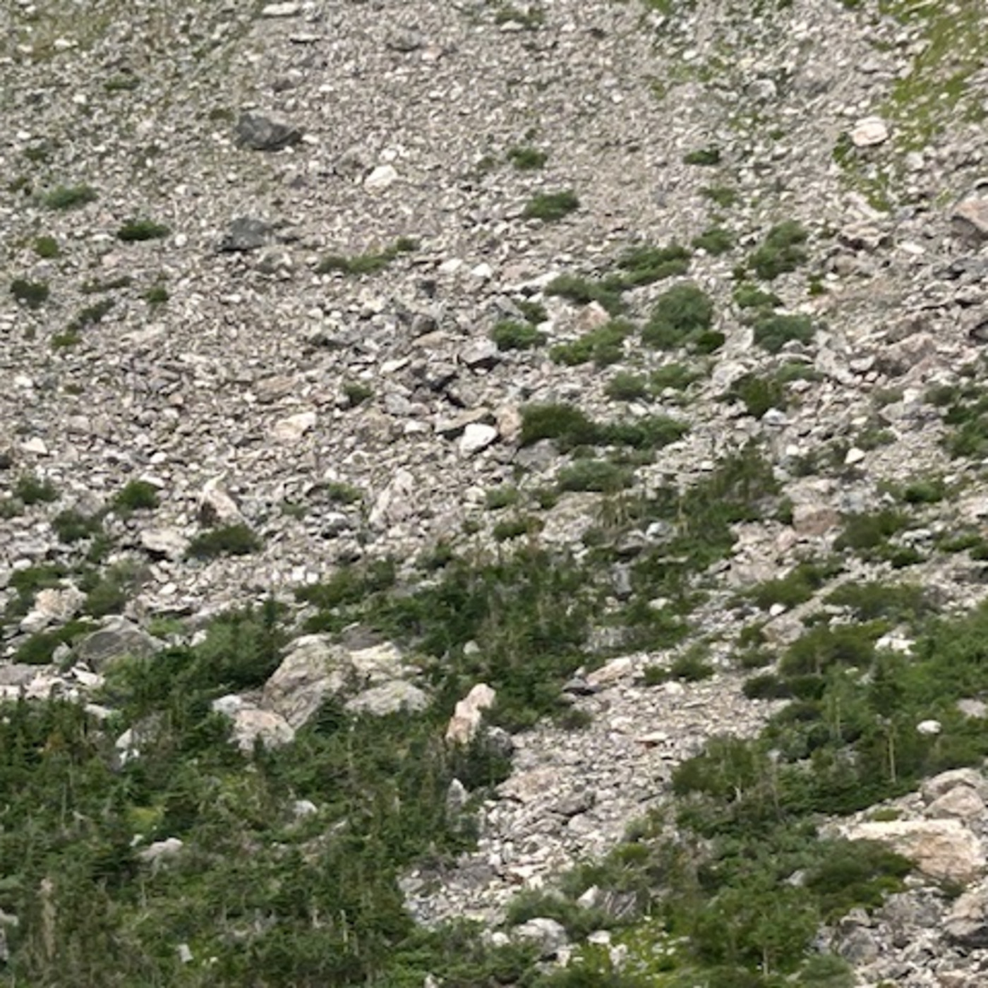 The Institute Of Spectra-Sonic Sound