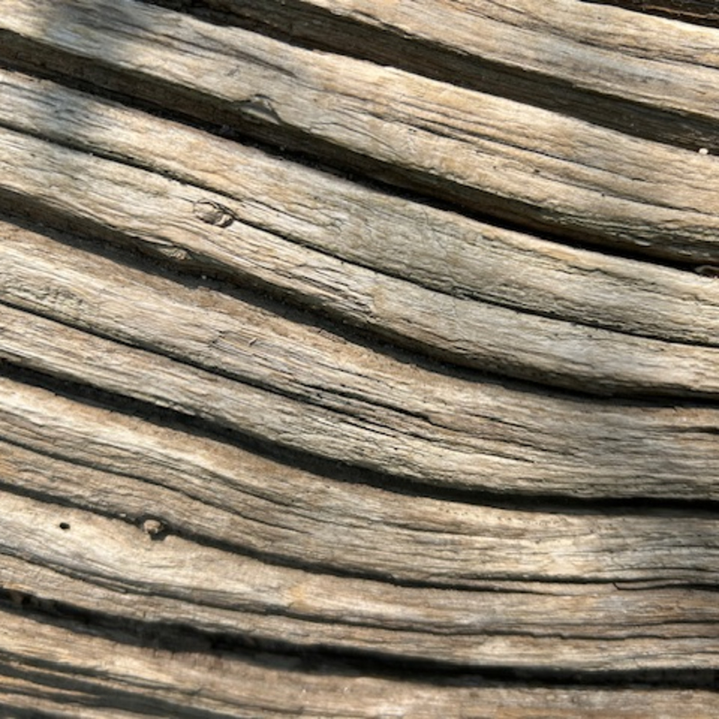 The Institute Of Spectra-Sonic Sound