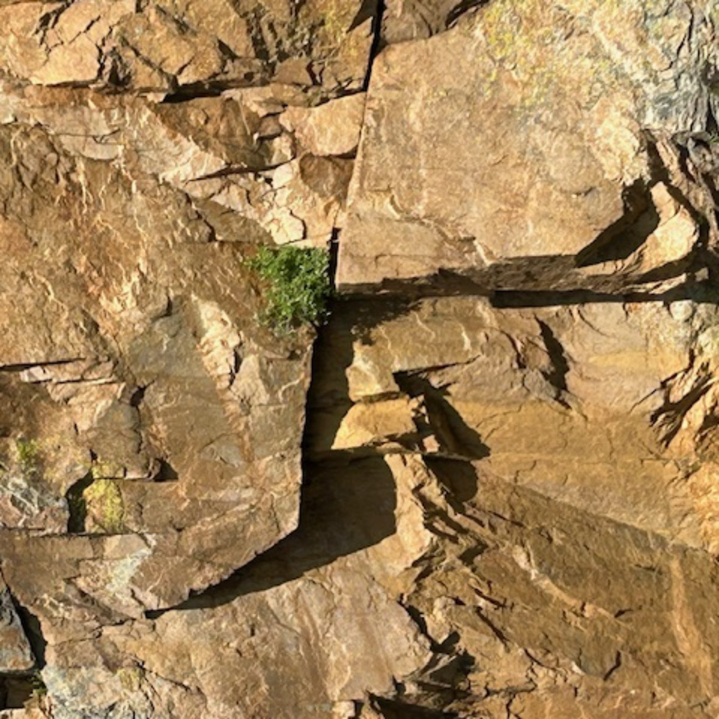 The Institute Of Spectra-Sonic Sound