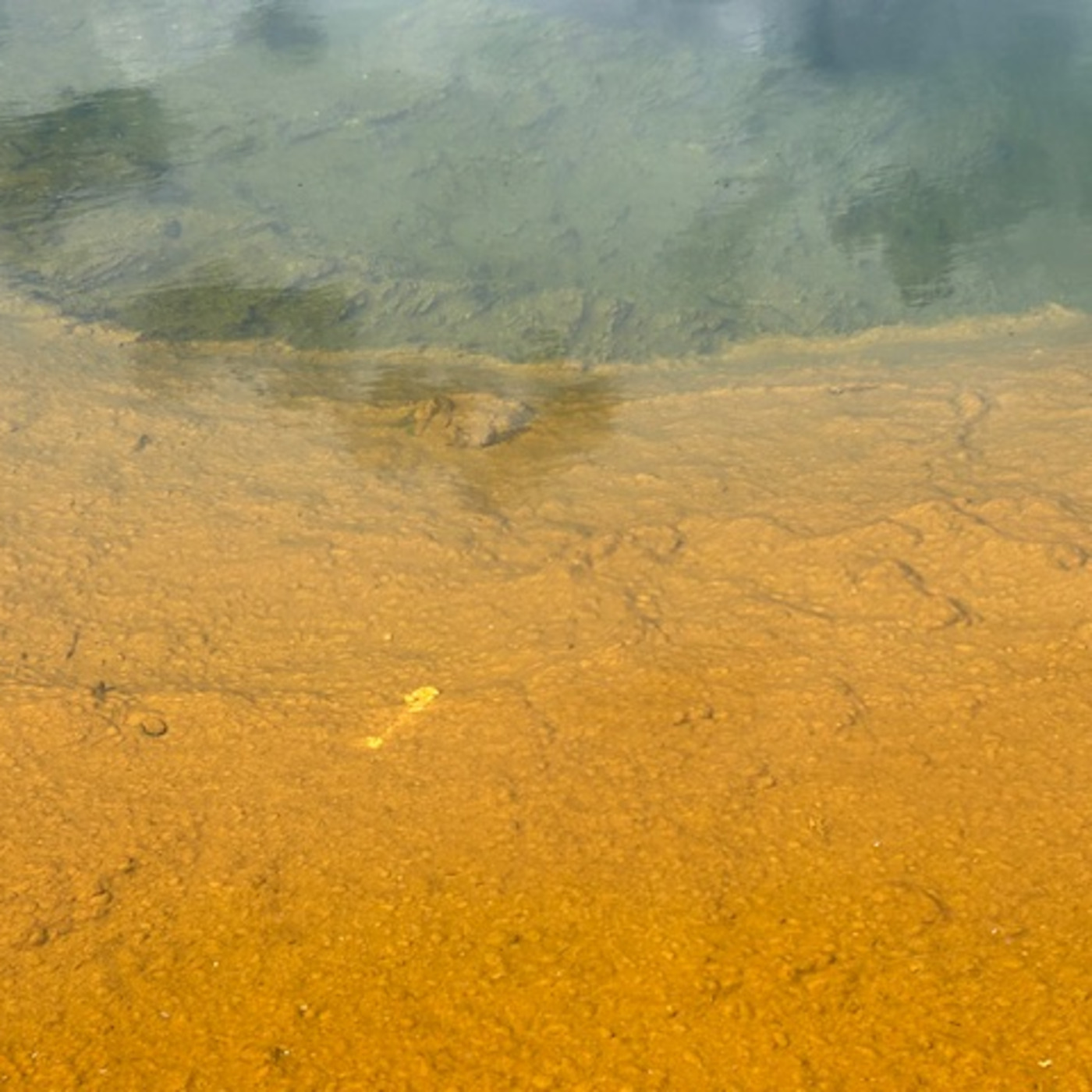 The Institute Of Spectra-Sonic Sound