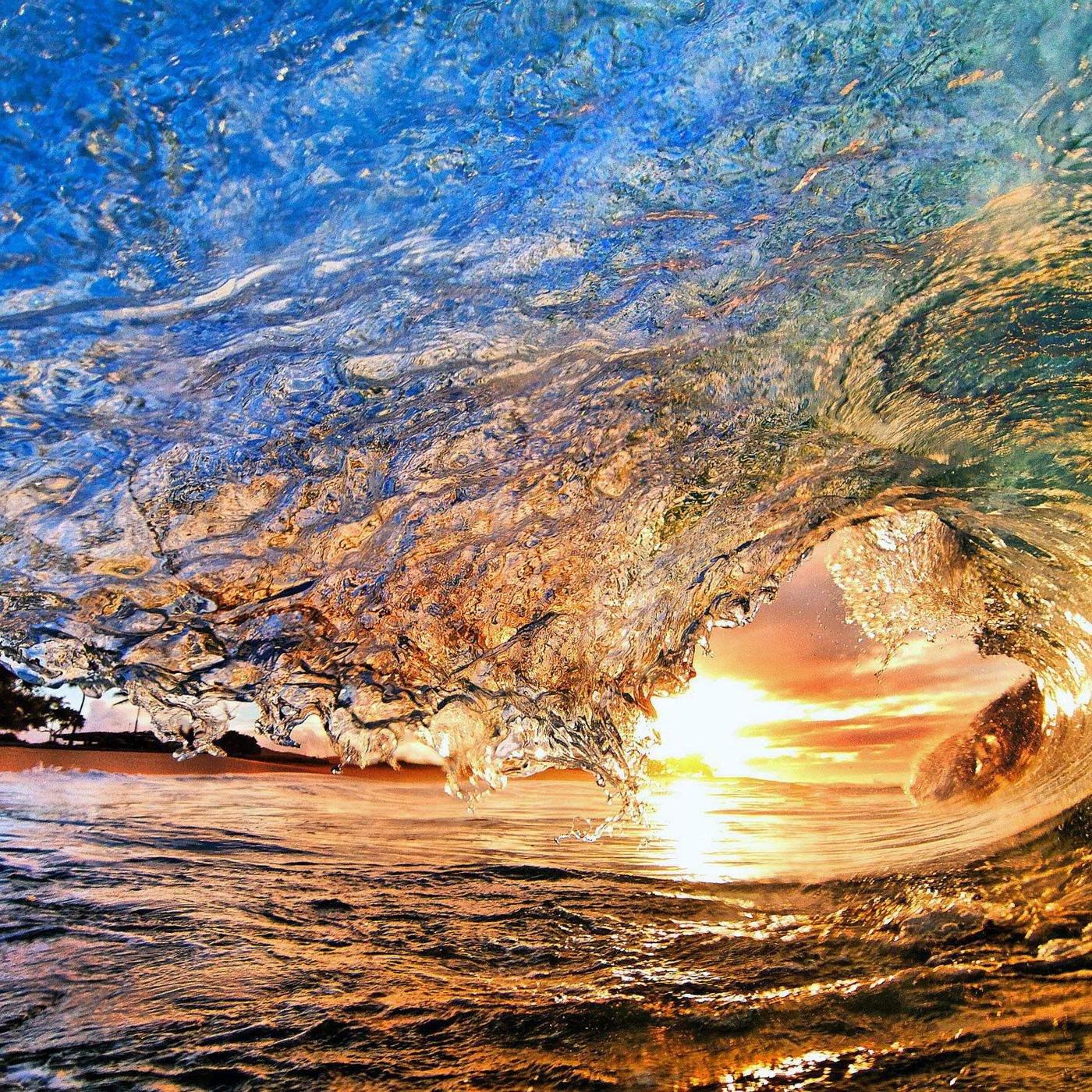 Inertia