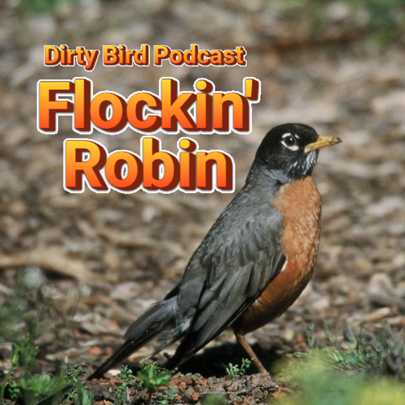 Dirty Bird Podcast