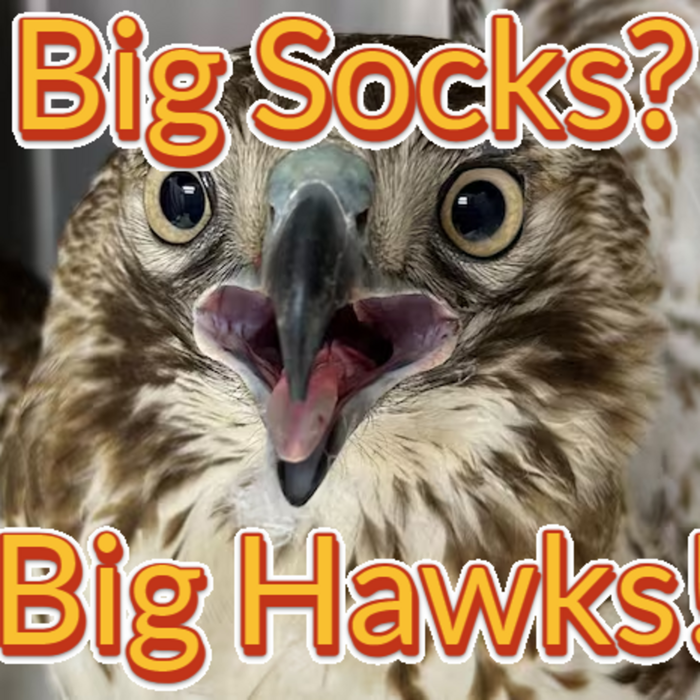 Dirty Bird Podcast