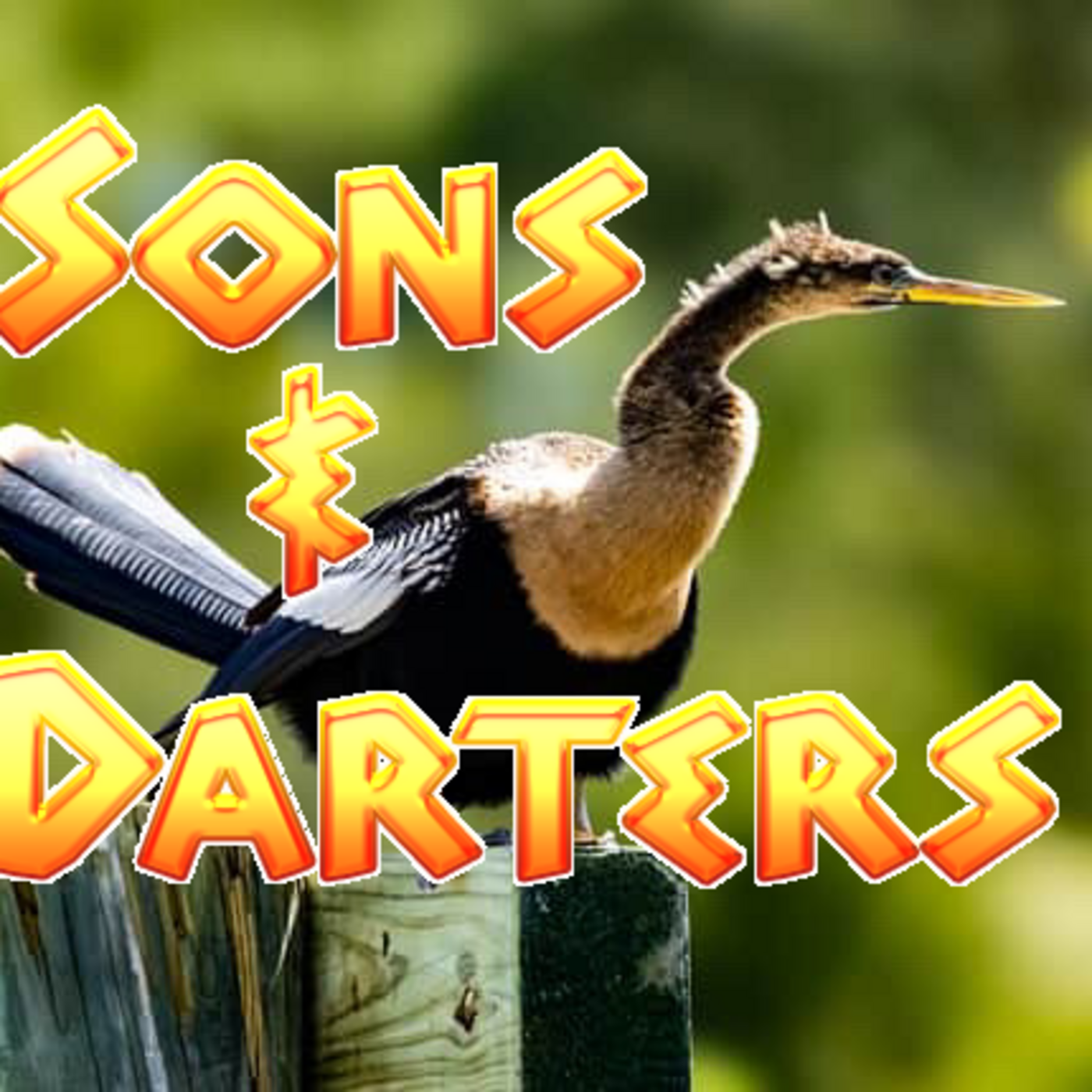 Episode 76: Sons and Darters: The Four Darter/Anhinga Species