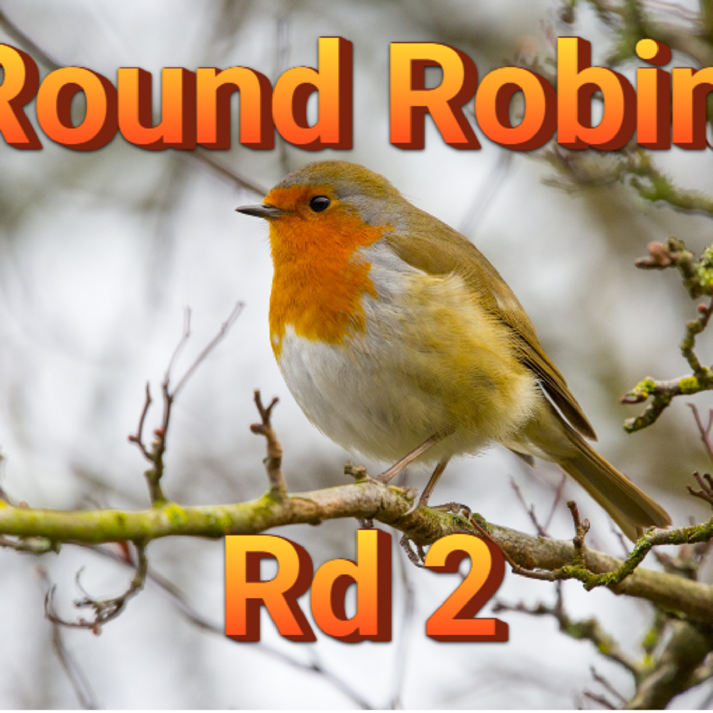 Episode 83: Round Robin Round 2: The European Robin (Erithacus rubecula) episode artwork