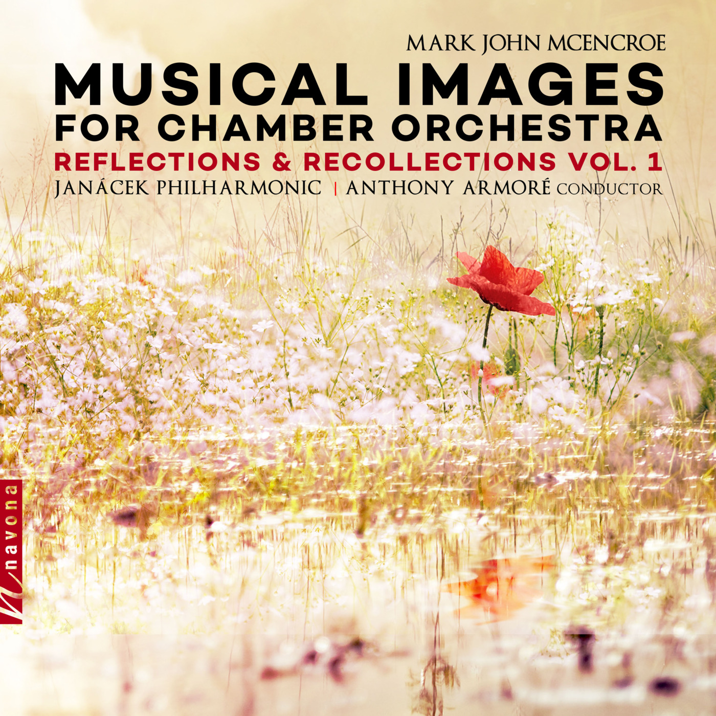 Episode 1: 16001 MUSICAL IMAGES FOR CHAMBER ORCHESTRA, Vol. 1