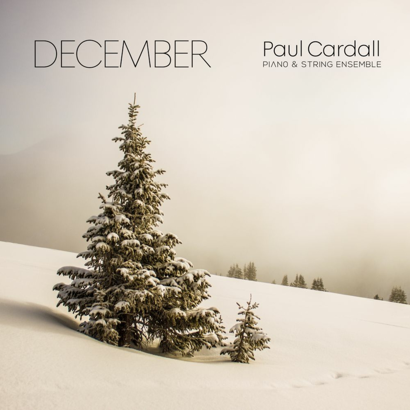 Episode 41: 18041 Paul Cardall - December