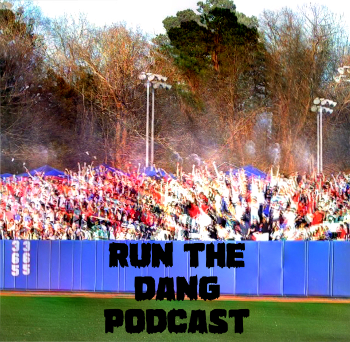 Run The Dang Podcast!