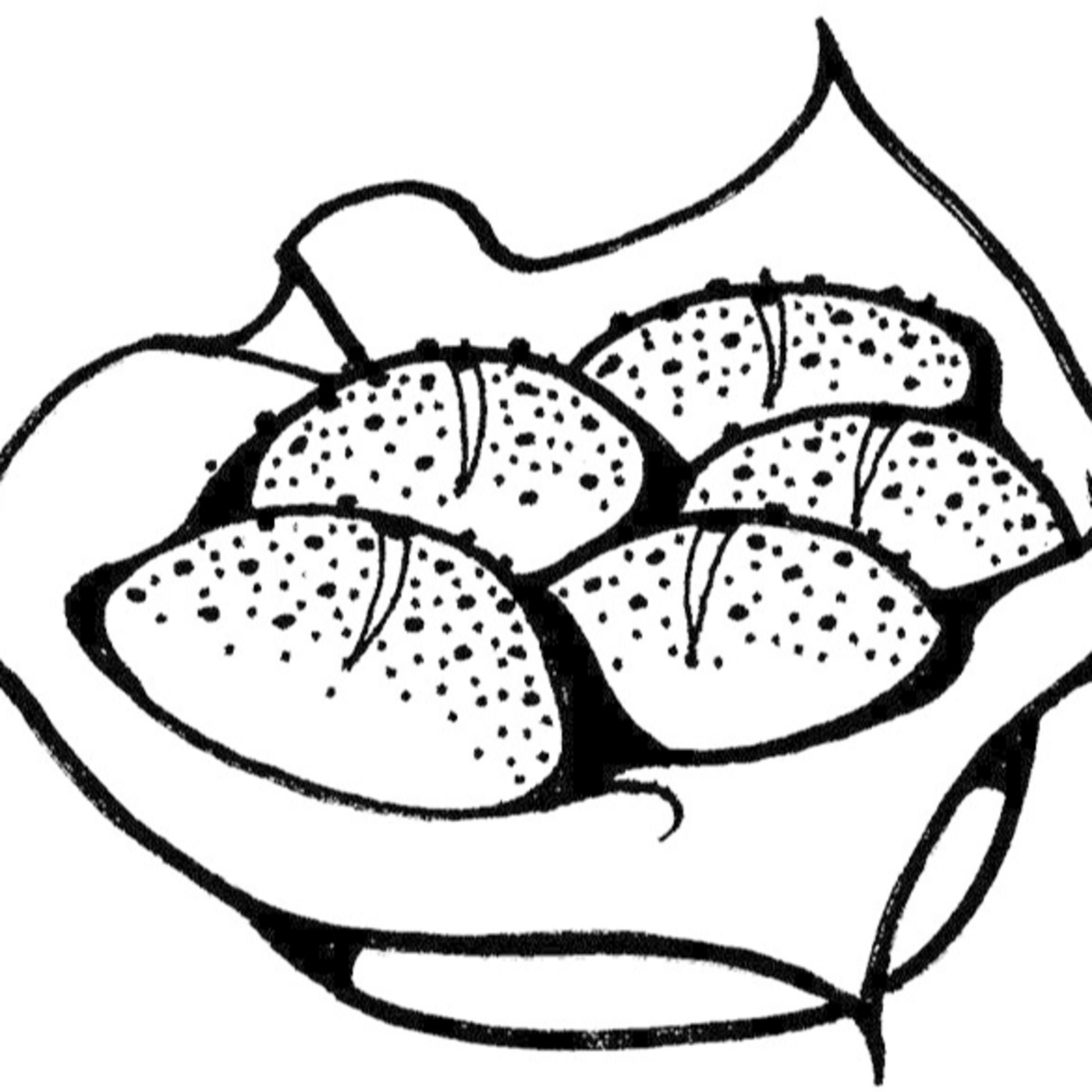 Christ Lutheran Soldotna Message Podcasts
