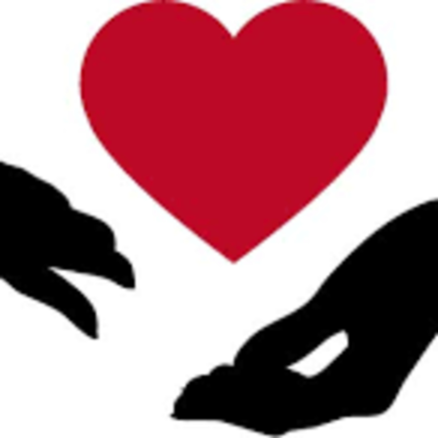 Christ Lutheran Soldotna Message Podcasts