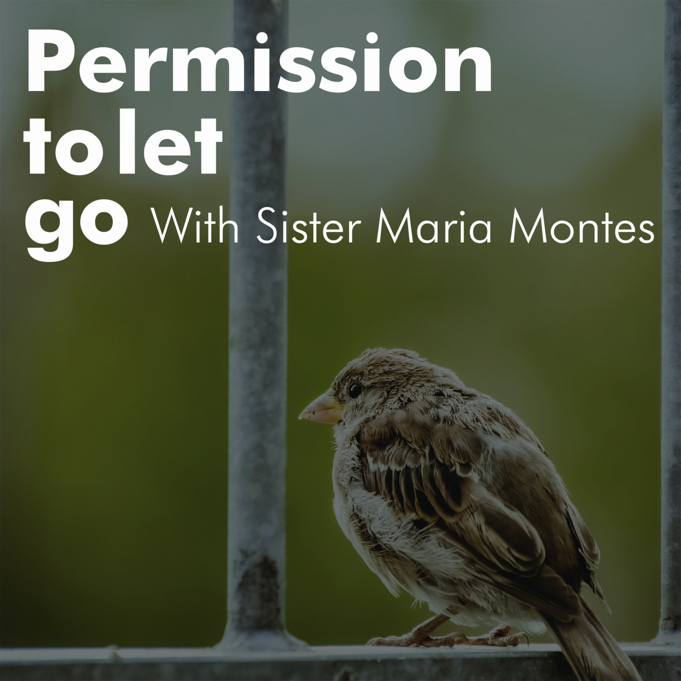 God Ordained Ministries: The Podcast