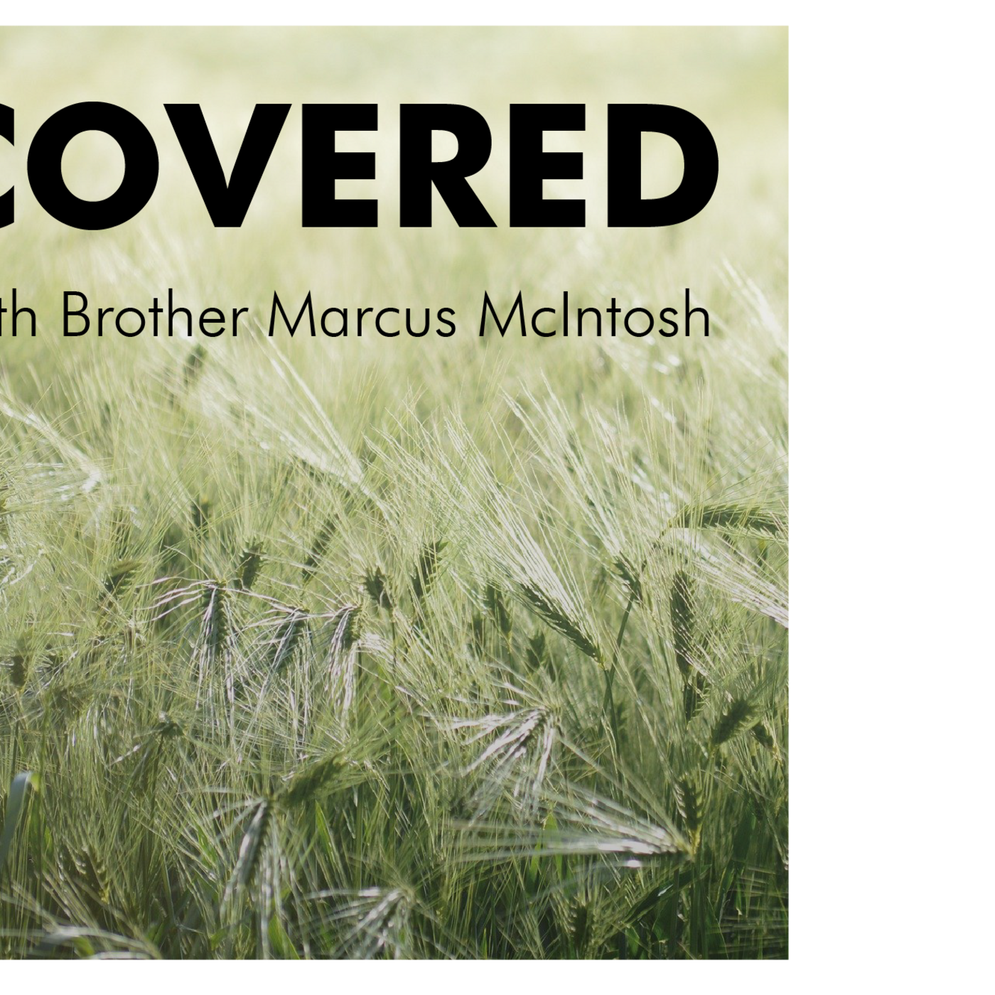 Episode 77: Covered #3