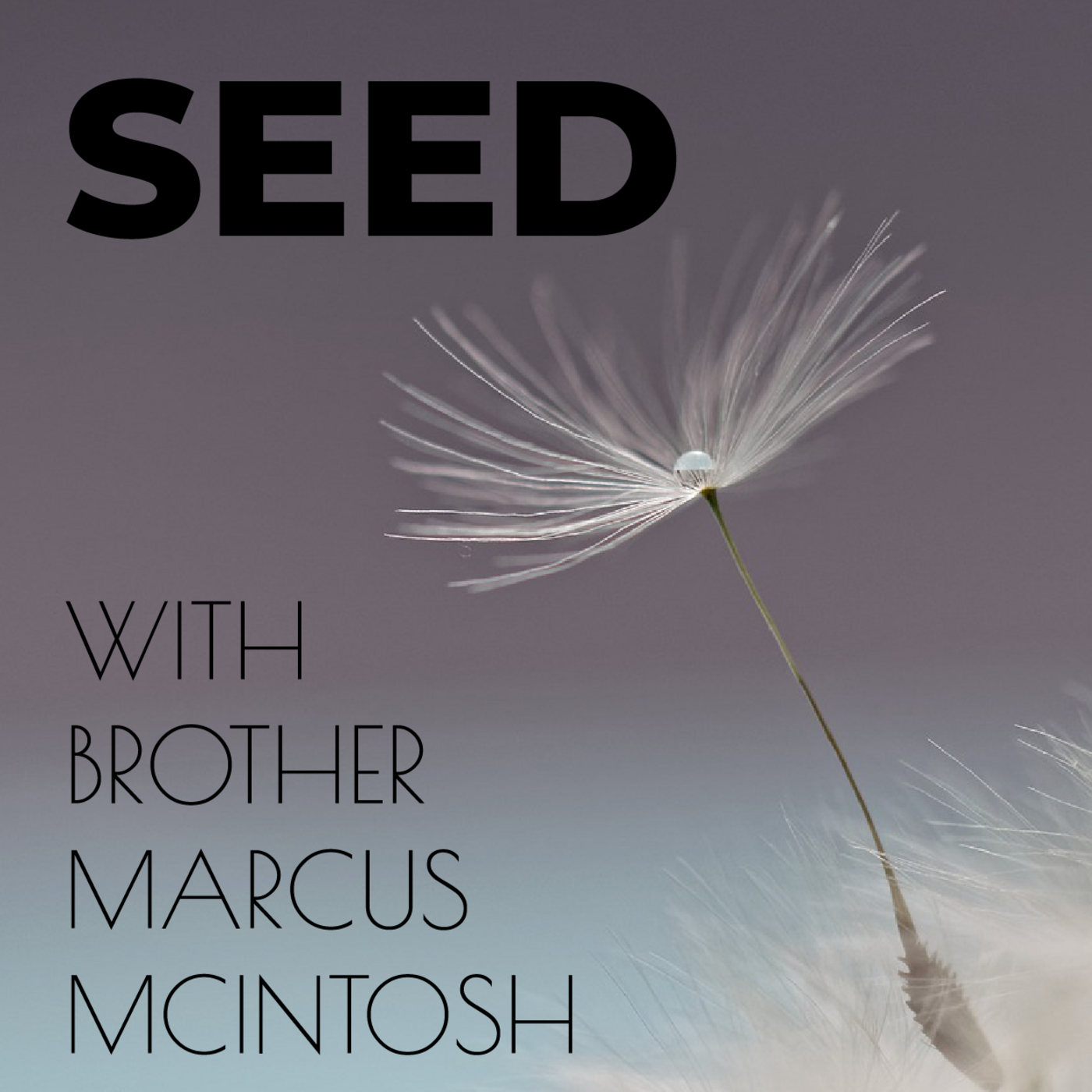 Episode 91: Seed With Brother Marcus McIntosh