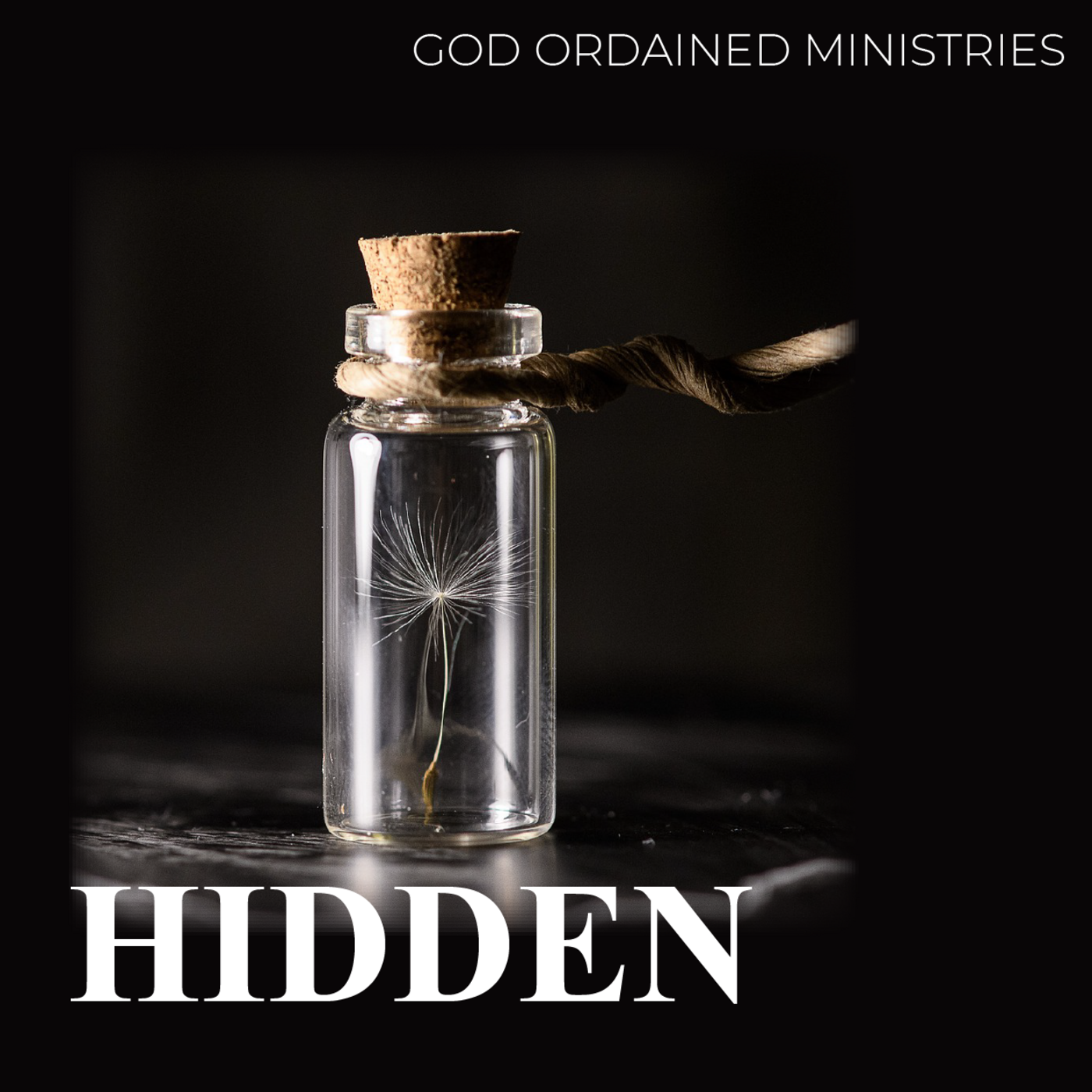 Episode 95: The Hidden