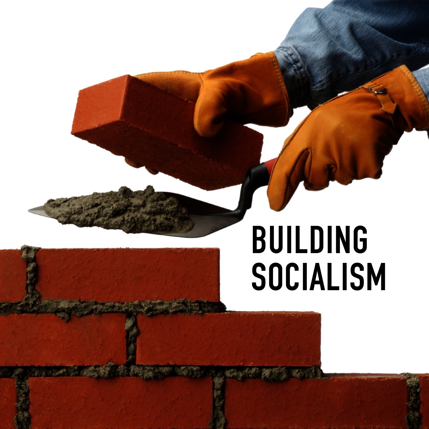 Building Socialism
