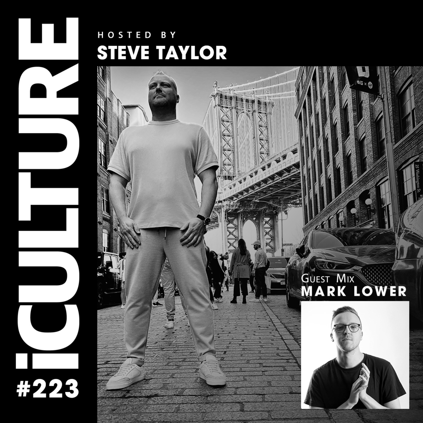 Episode 82: iCulture #223 - Hosted by Steve Taylor | Special Guest - Mark Lower episode artwork