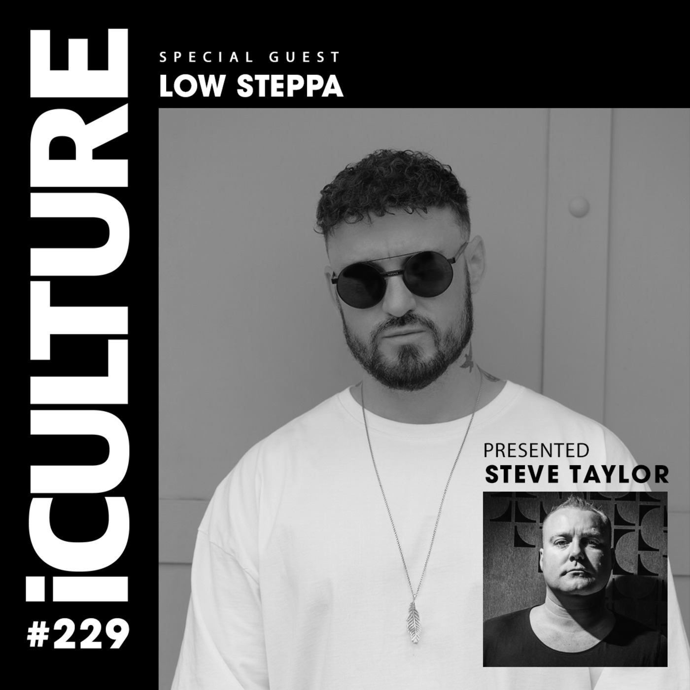 Episode 88: iCulture #229 - Hosted by Steve Taylor | Special Guest - Low Steppa