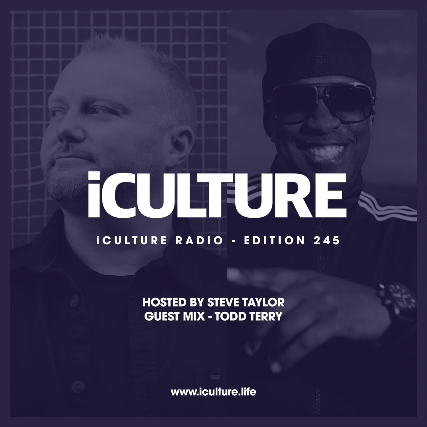Episode 104: iCulture #245 - Hosted by Steve Taylor | Guest Mix by Todd Terry episode artwork