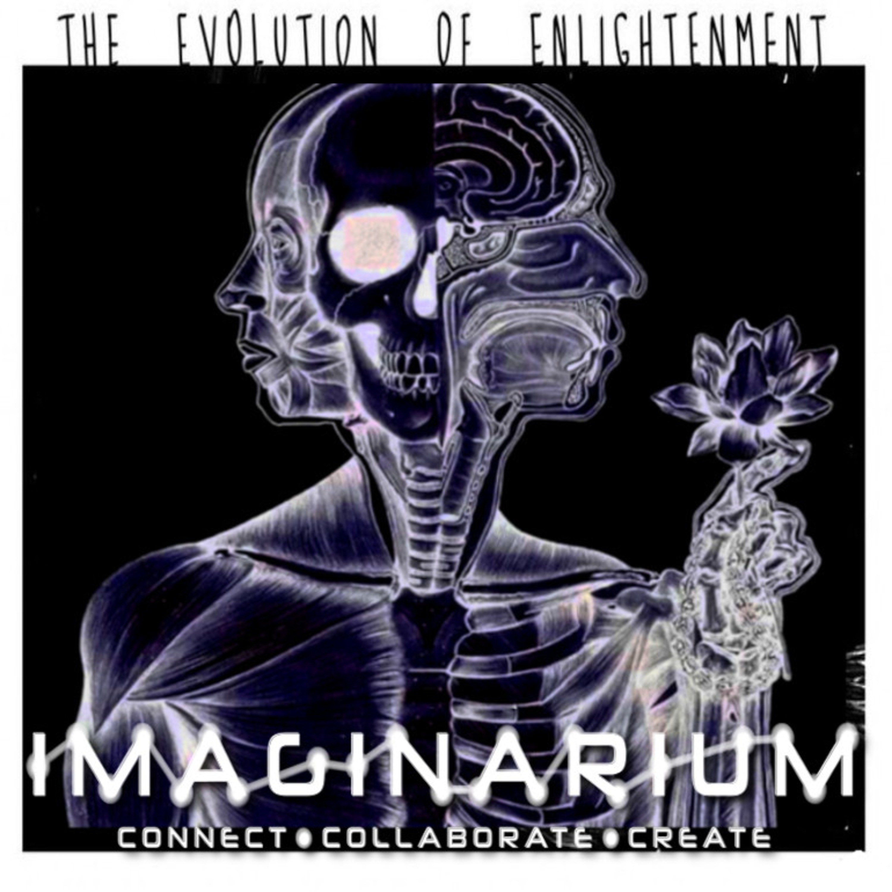 Infinite Imaginarium