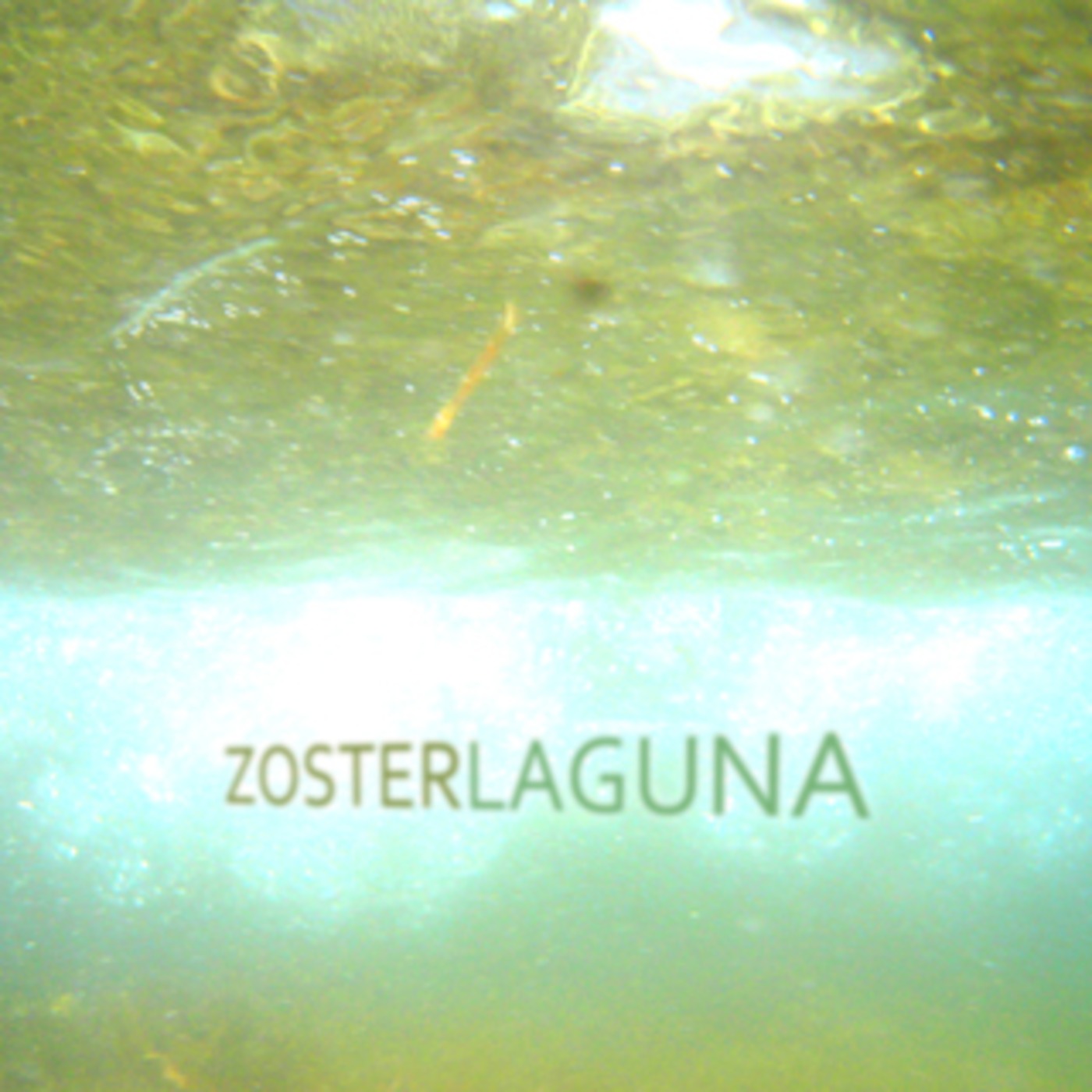 Laguna Laguna