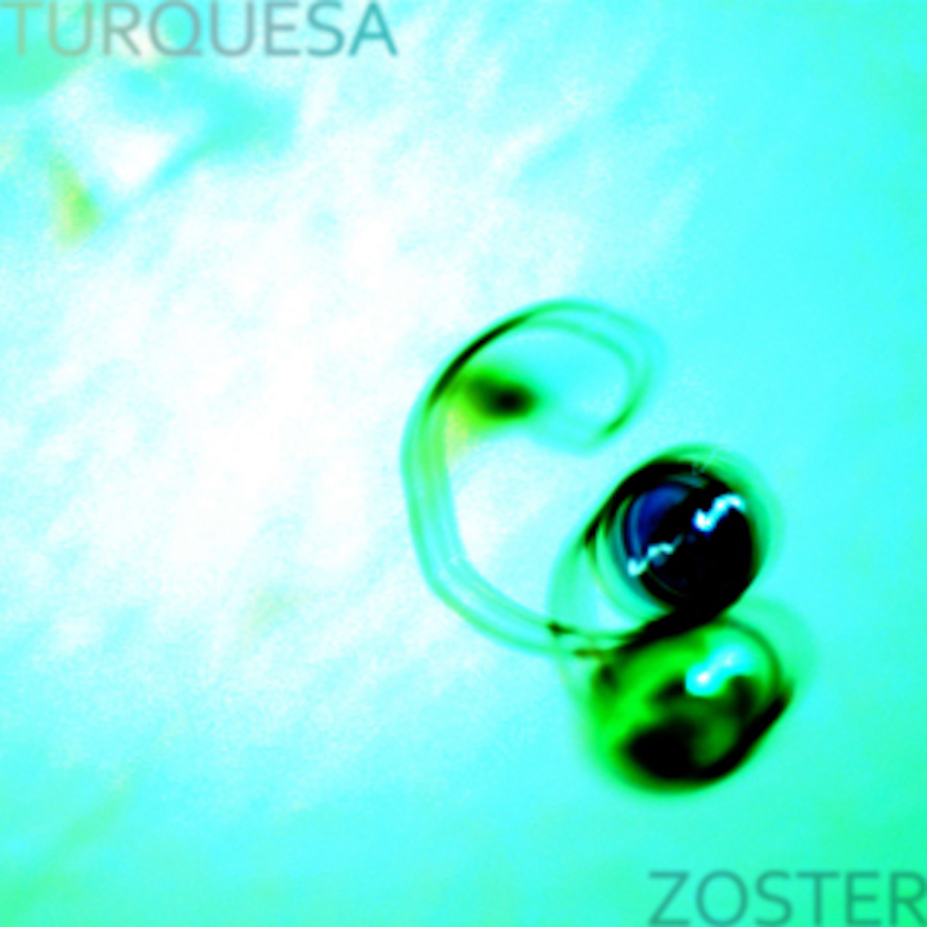ZOSTER/PODCAST