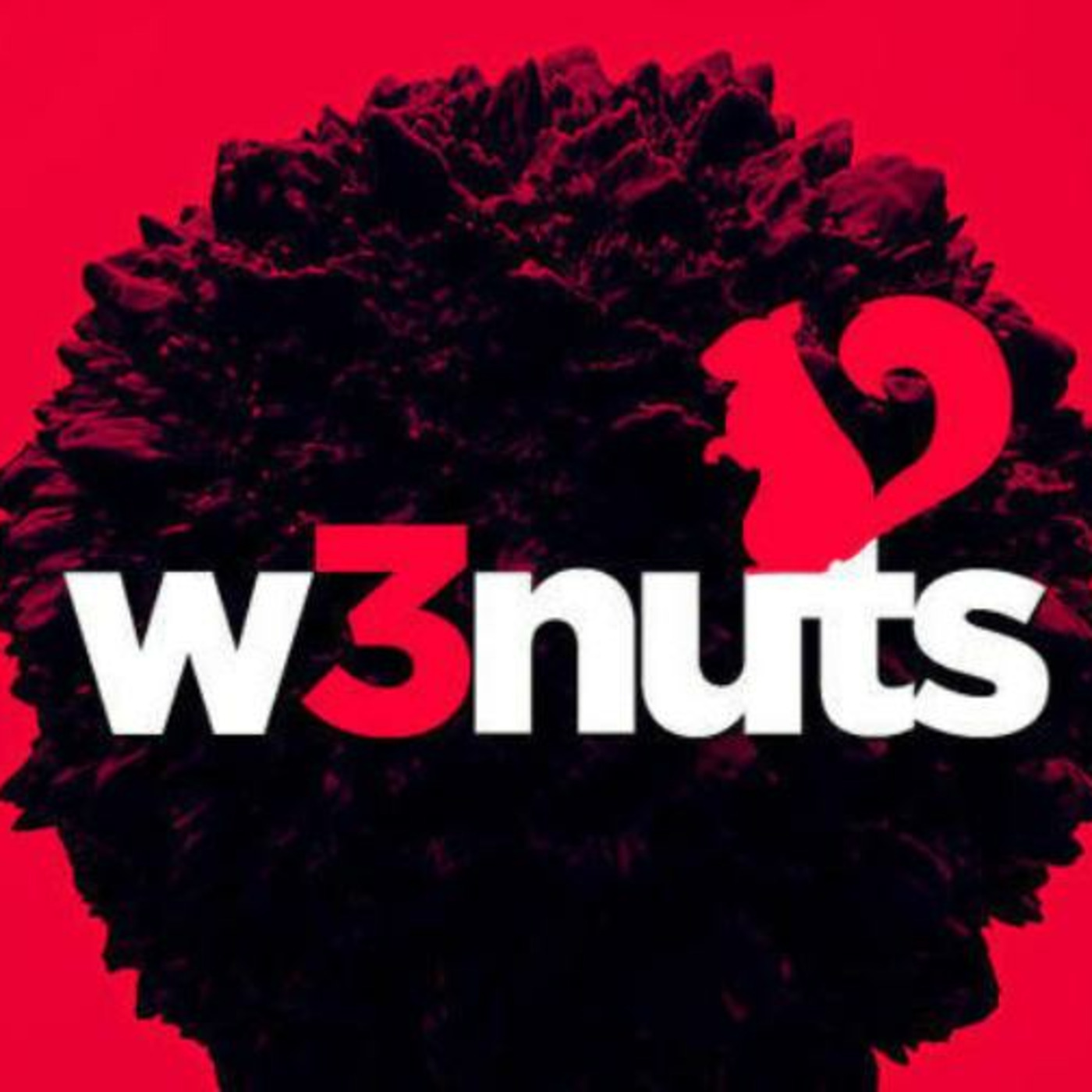 nikunj-w3nuts' Podcast