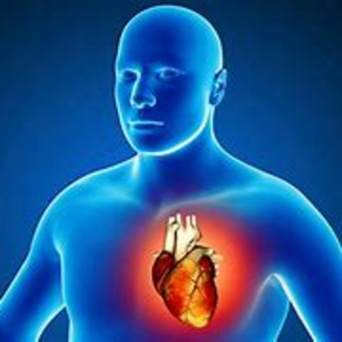 Episode 220: Watch Your Heart