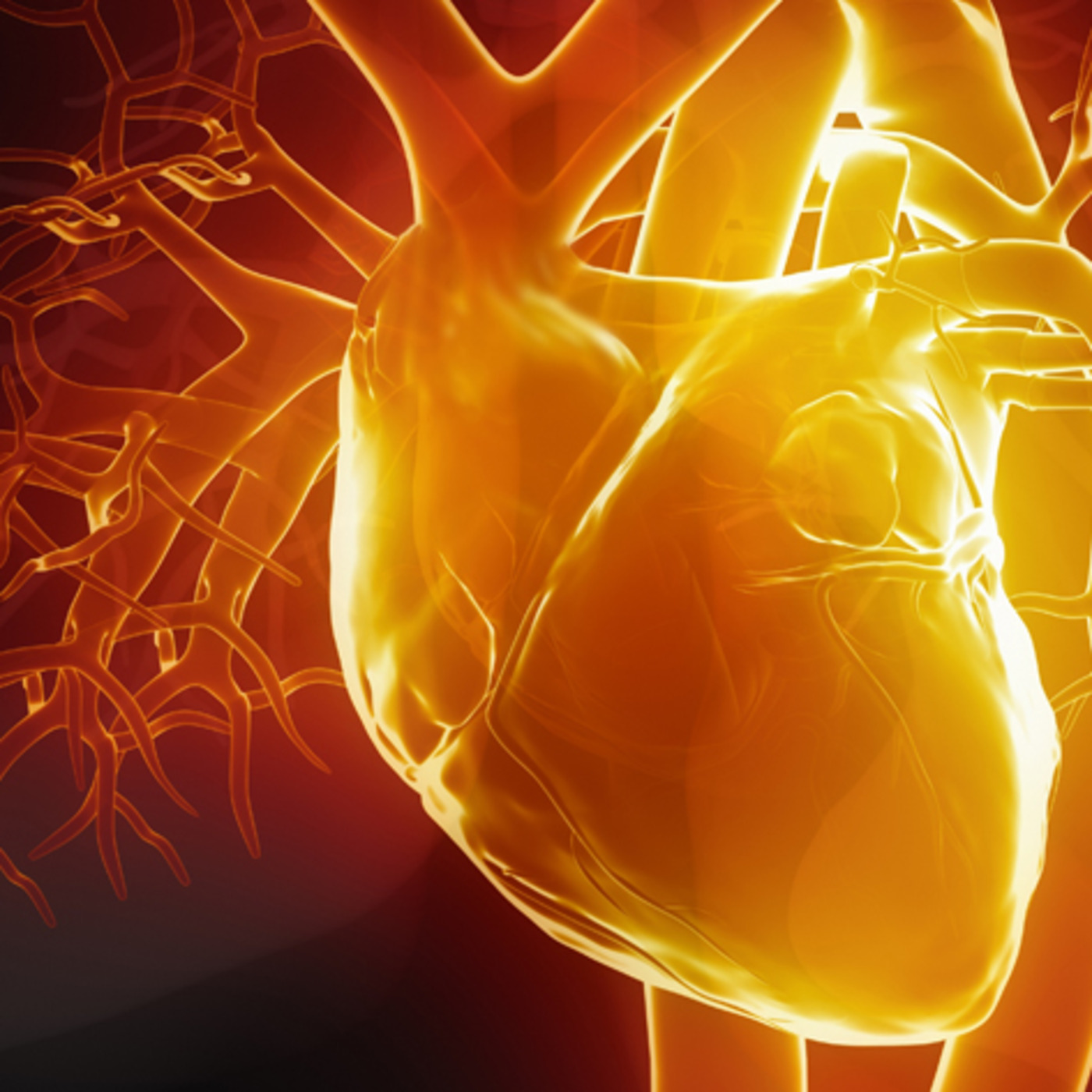 Episode 221: Watch Your Heart (Part 2)