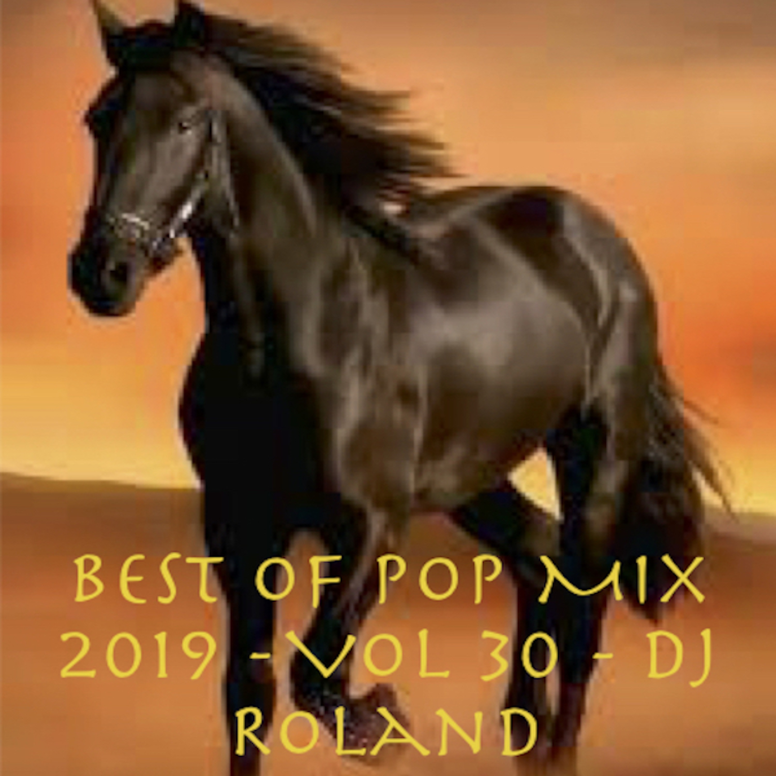 Best Of Pop Mix 2019 Vol 30 Dj Roland Dj Roland Podcast