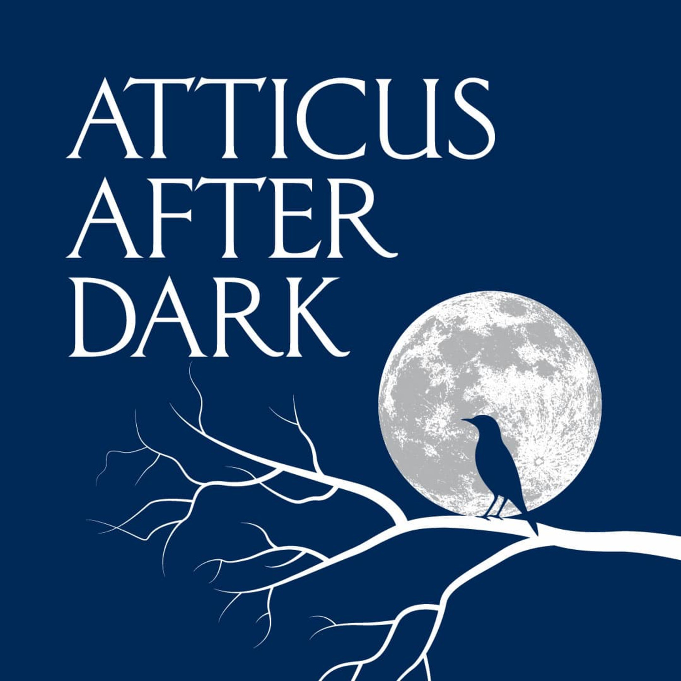 Atticus After Dark cover