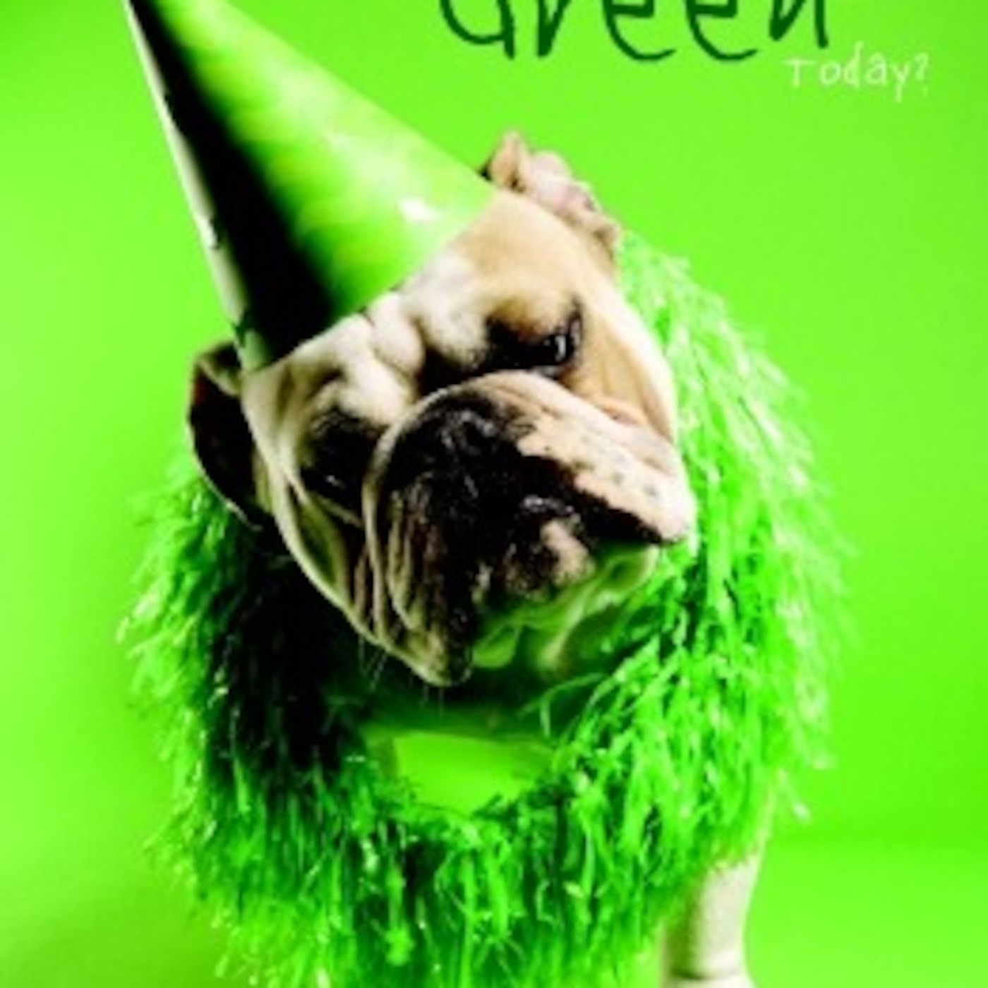 The Gail Foley Show - Gabbin\' With Gail Grows Your Business