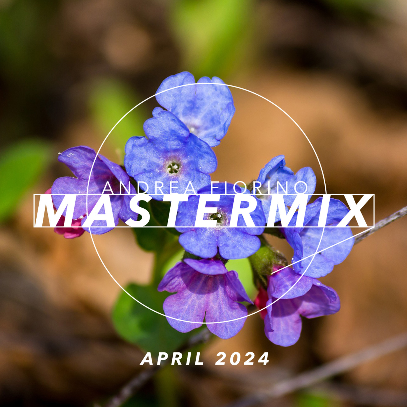 Andrea Fiorino Mastermix