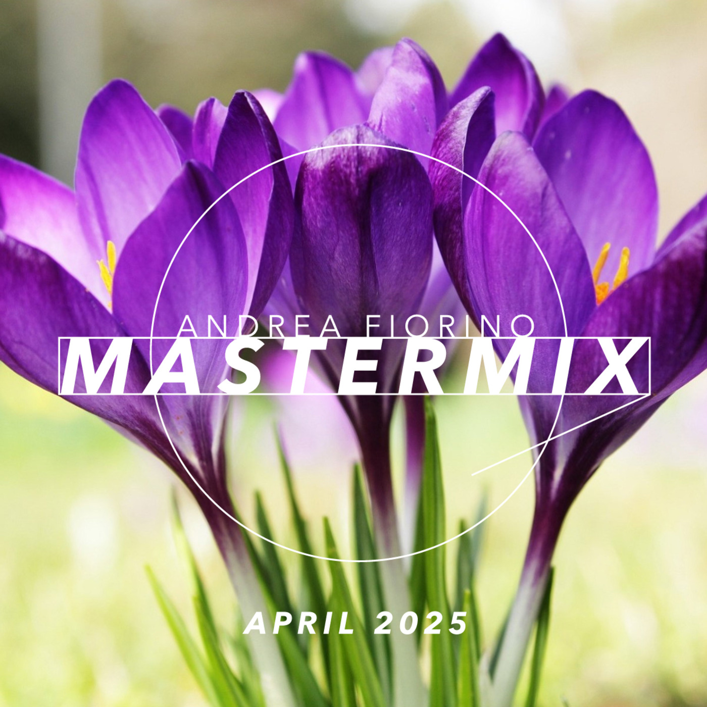 Andrea Fiorino Mastermix