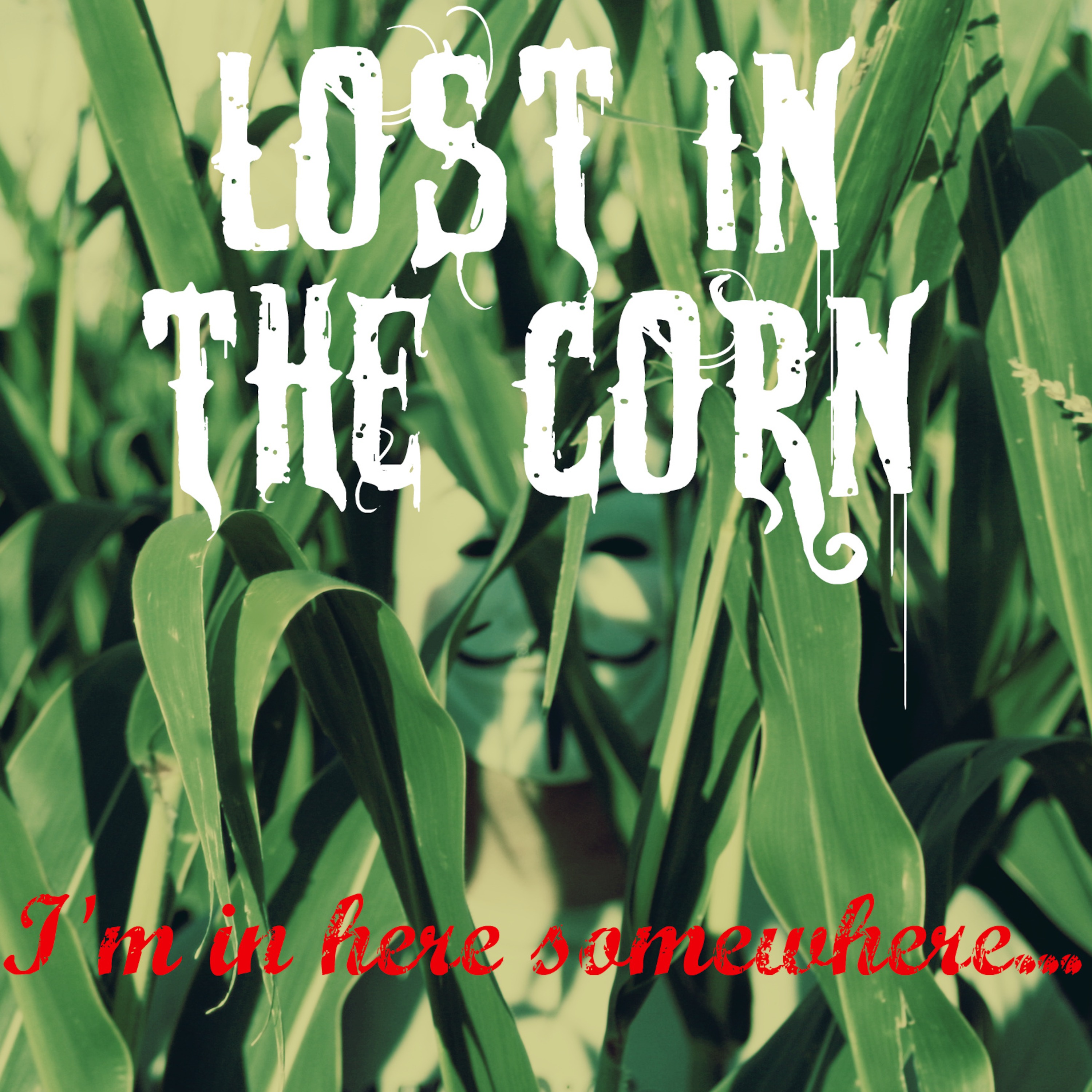 Lost In The Corn