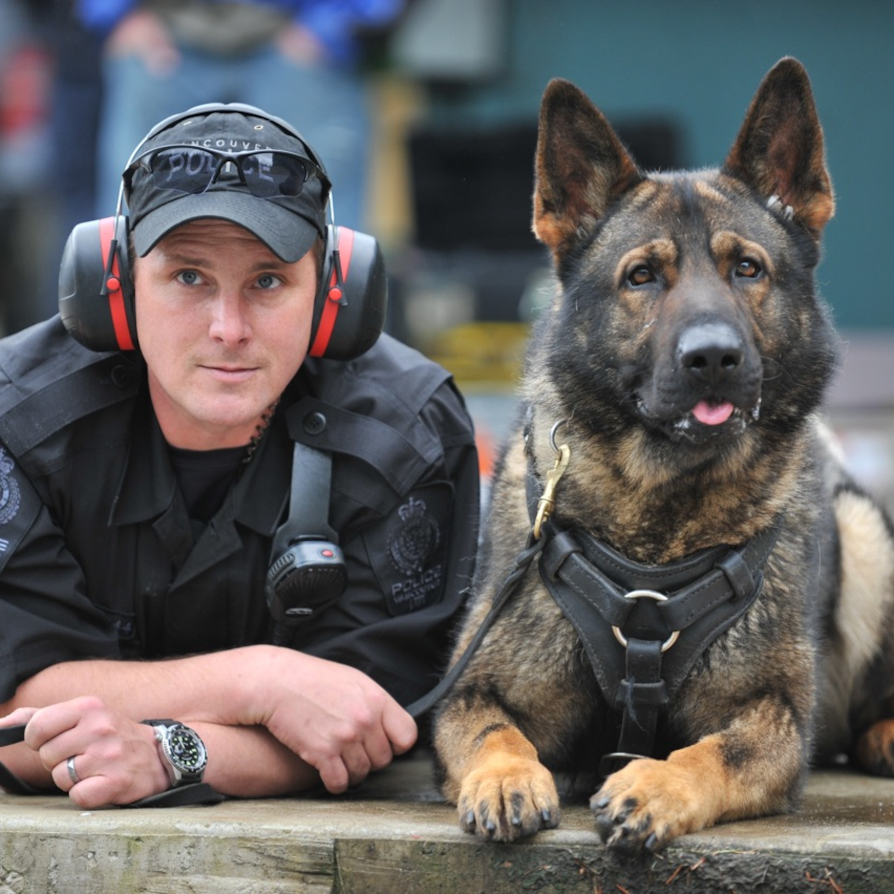 police k9 kennels episode artwork