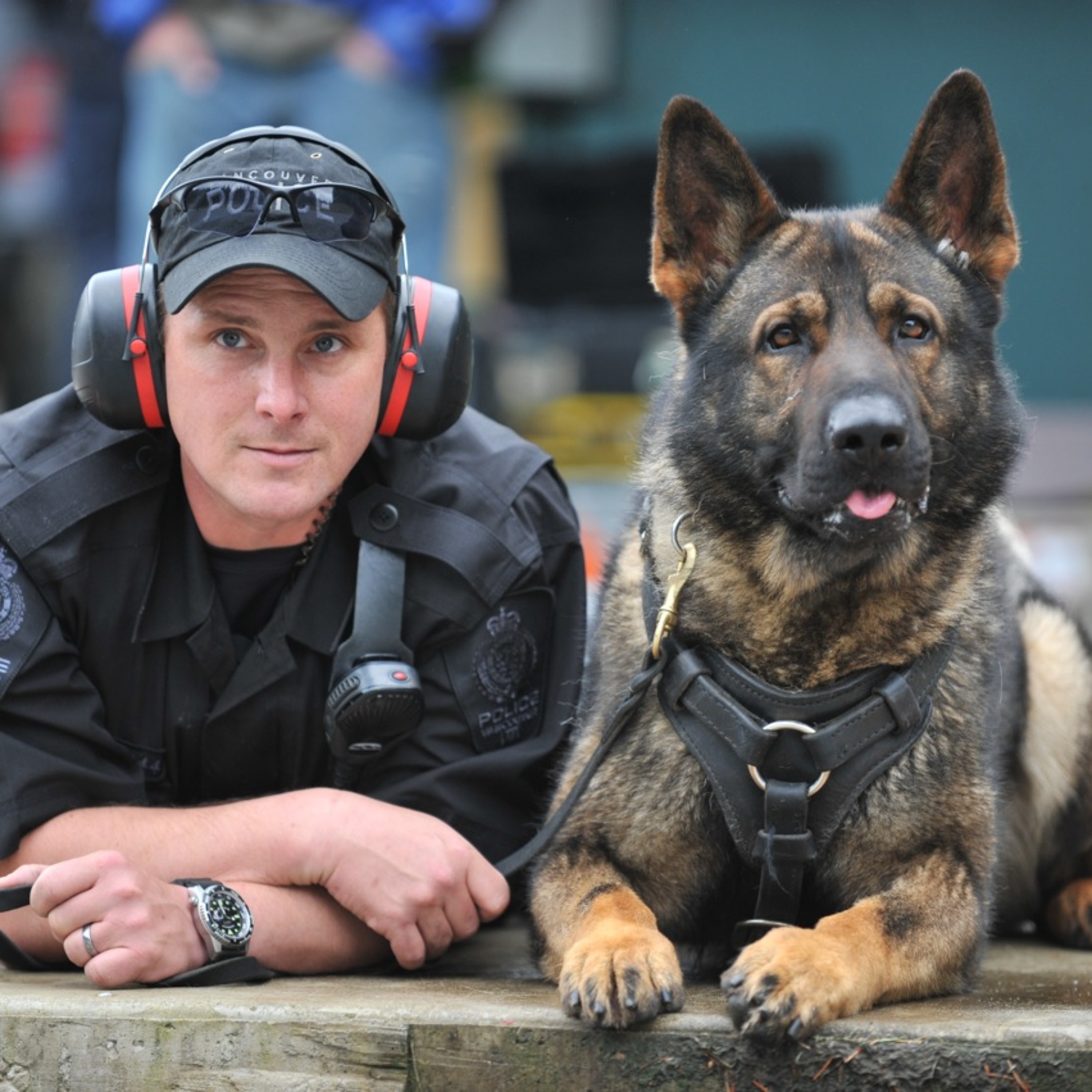 Police Dog Training episode artwork