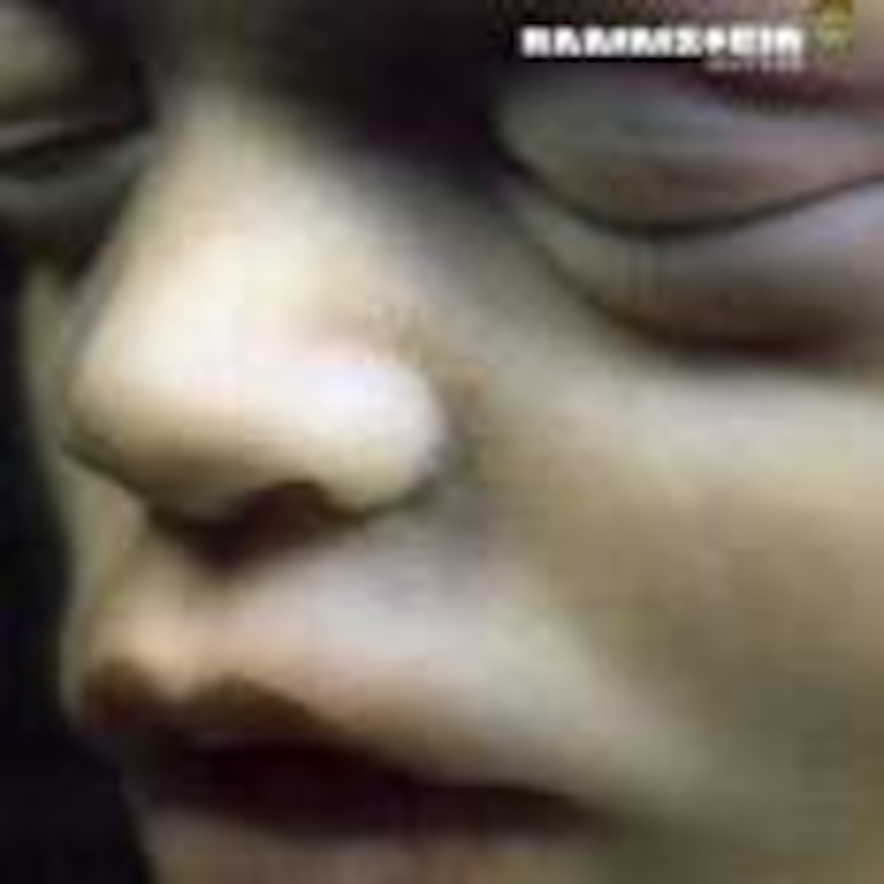 Rammstein - Feuer Frei! episode artwork