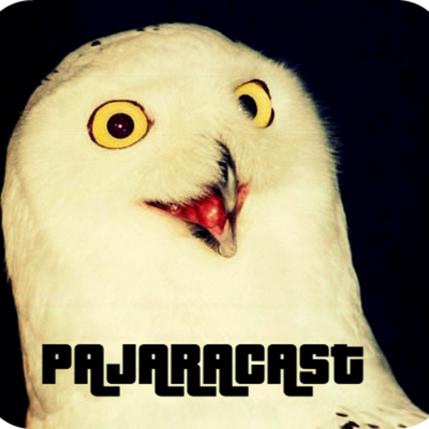 Pajaracast