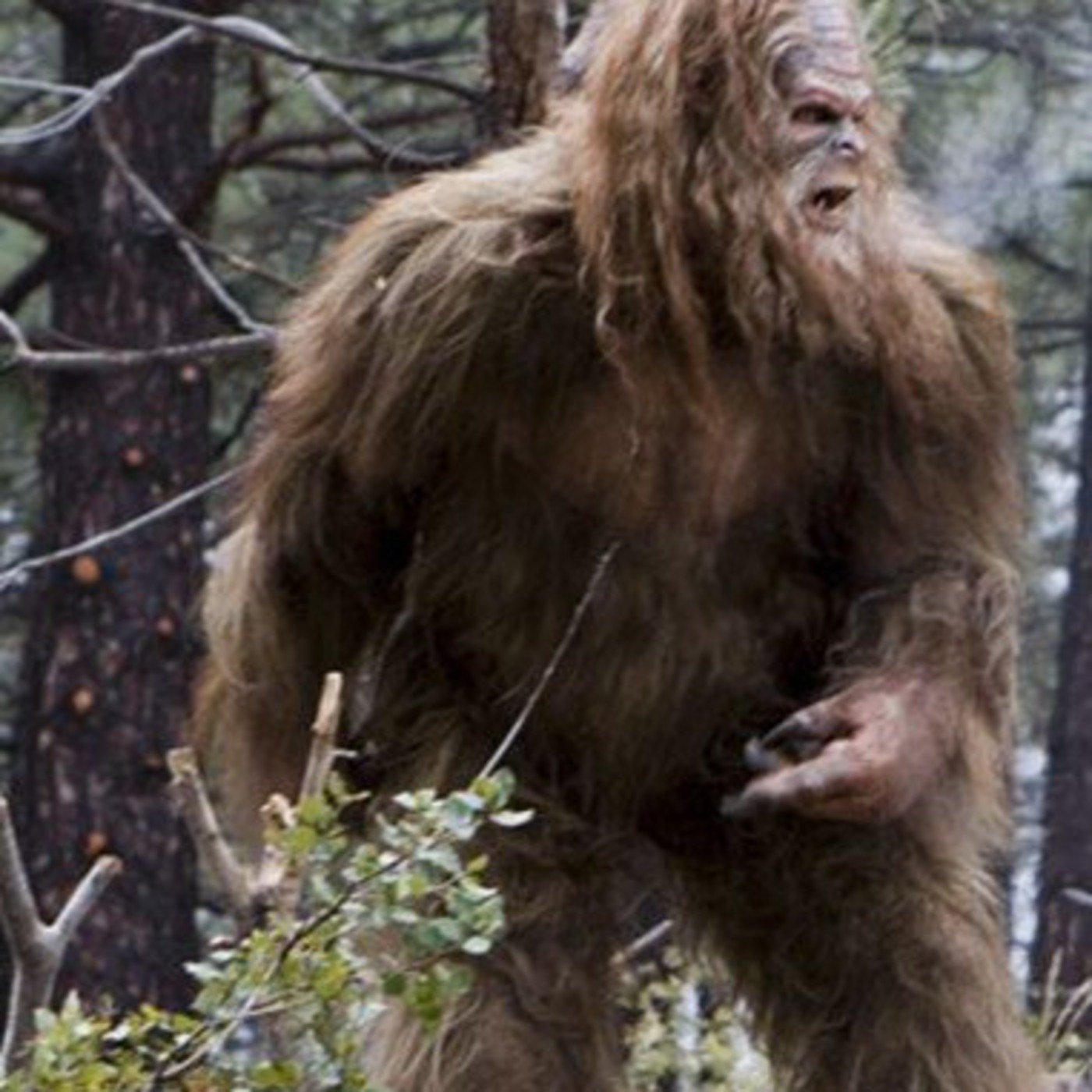 Gian Quasar and Steve Doran - Big Foot/Sasquatch