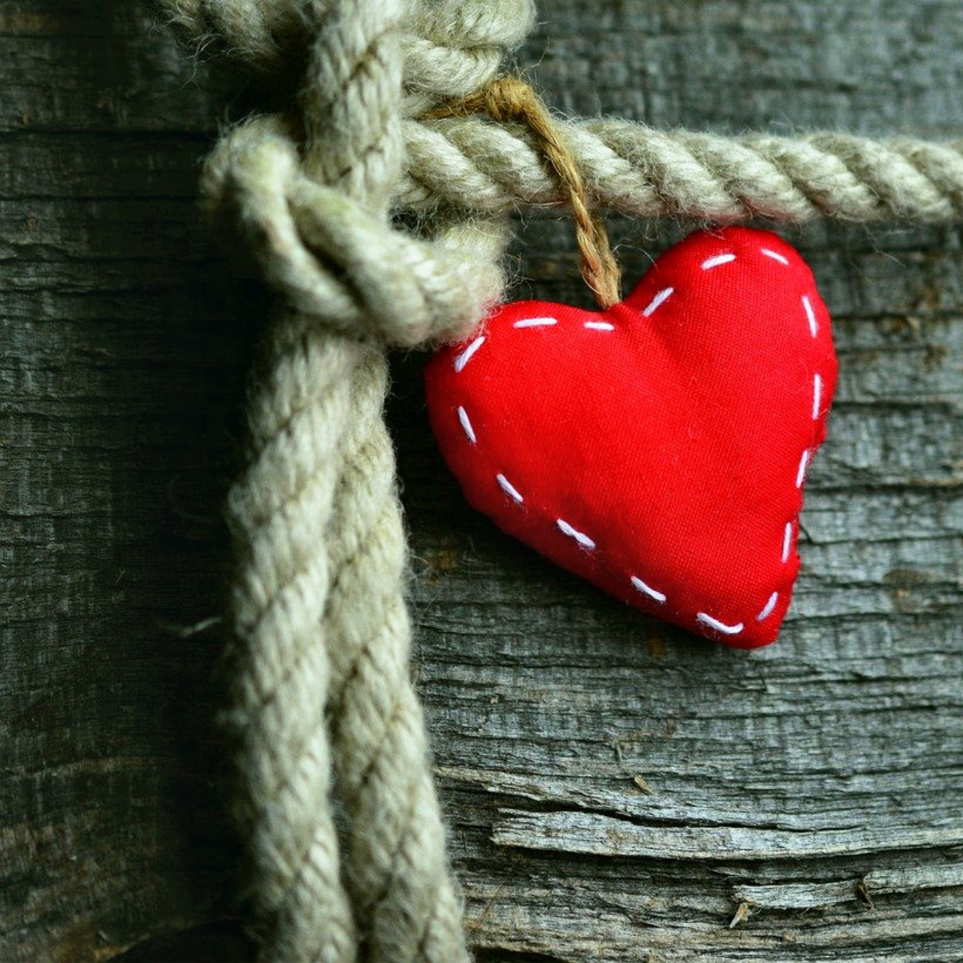 cover of episode Episode 85: Un amore perseverante