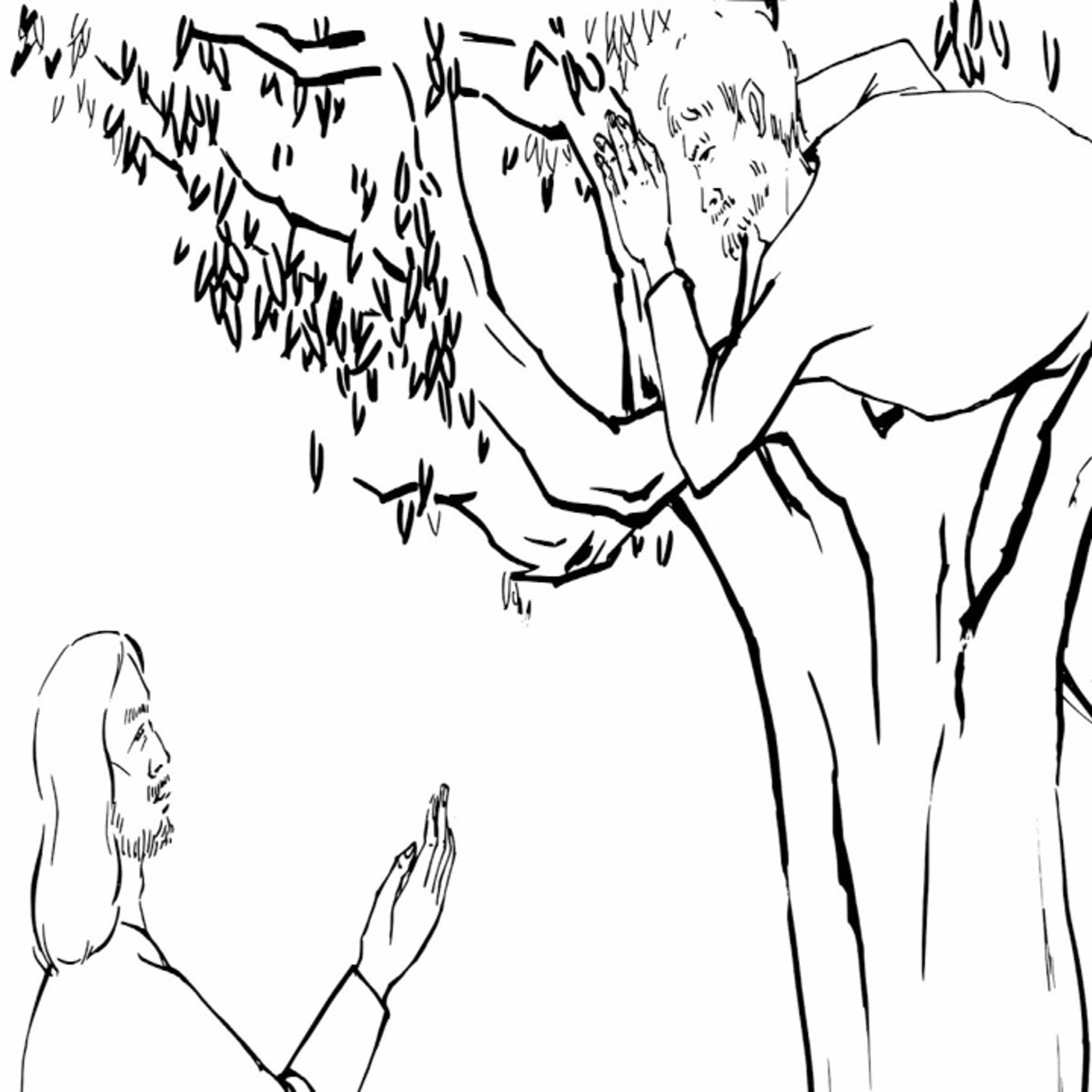 cover of episode Episode 34: Scendi dal tuo albero