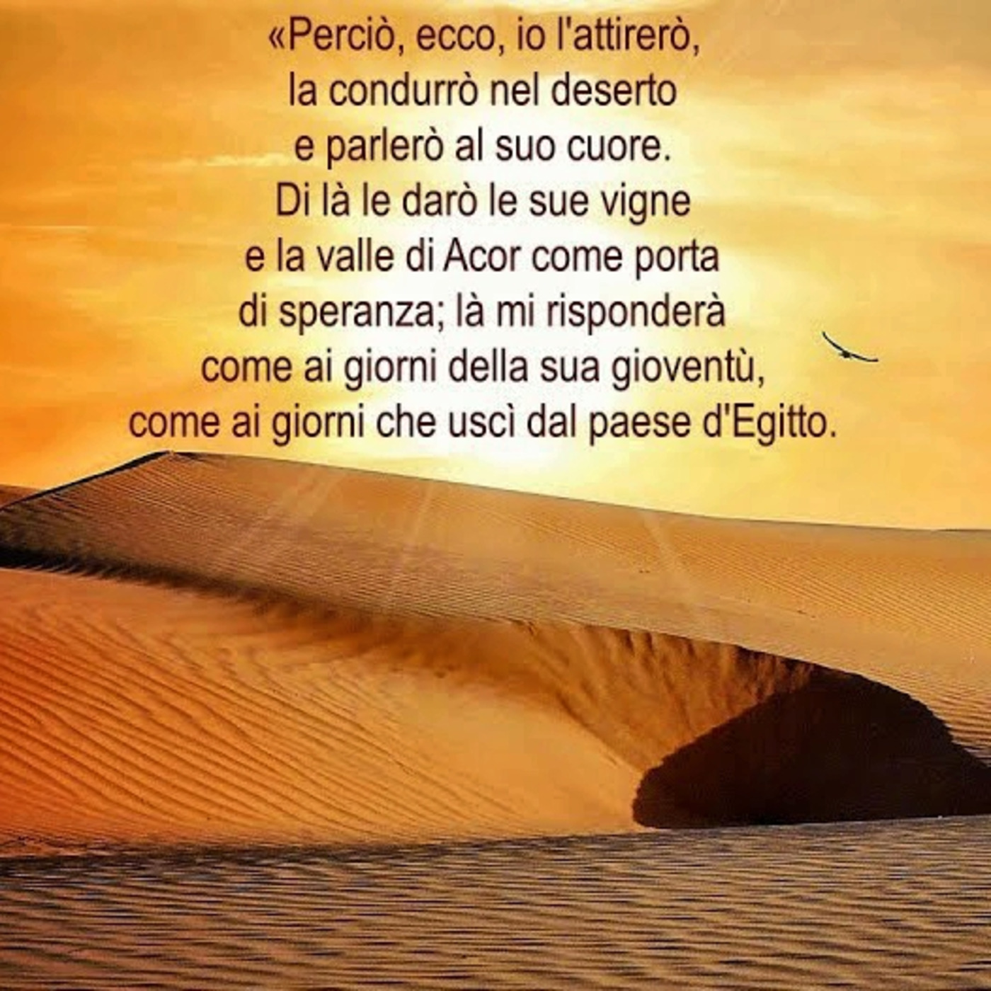 cover of episode Episode 15: Attirati nel deserto per essere rivitalizzati