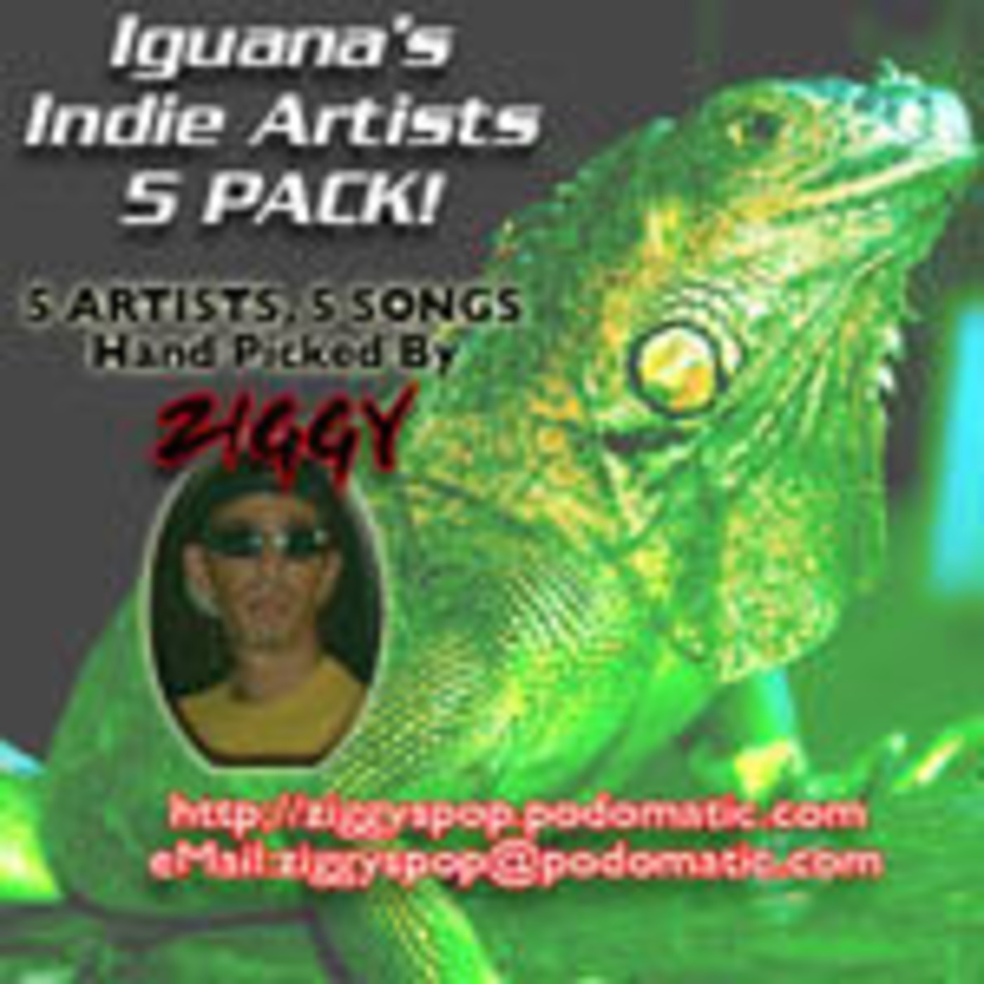 ZiggysPop IIA5Pack