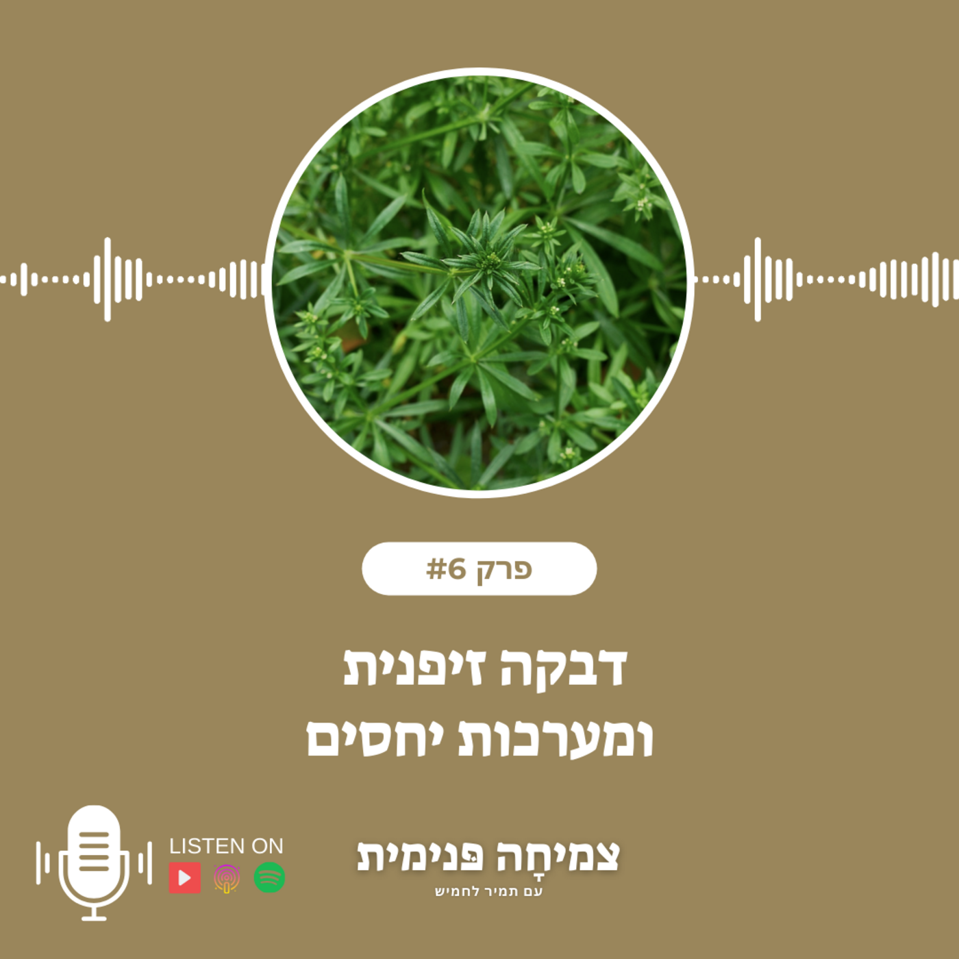 Episode 6: דבקה זיפנית ומערכות יחסים episode artwork
